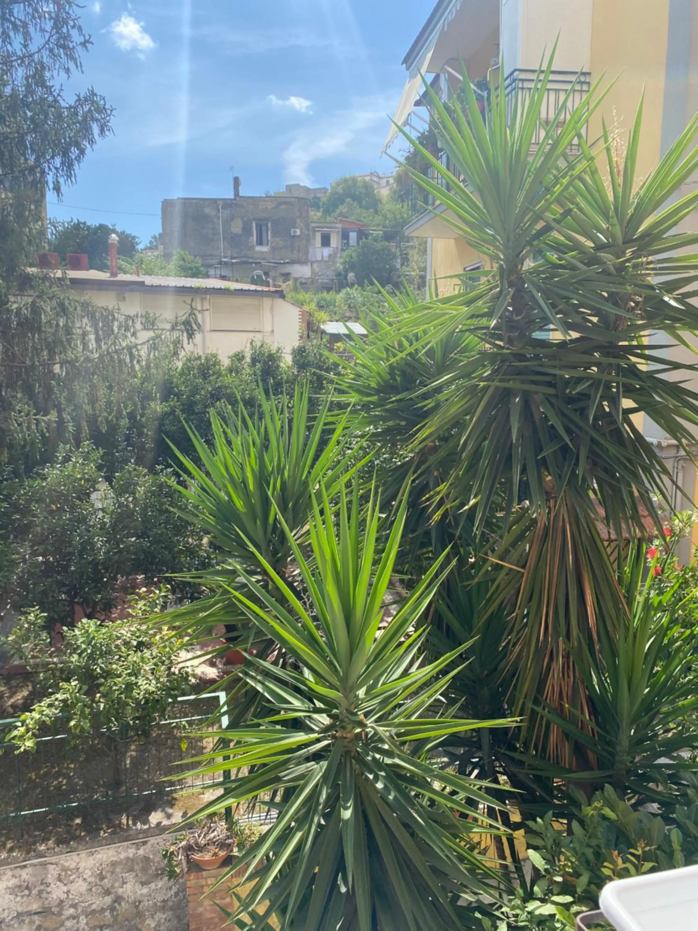 View (from property/room) in GARDEN HOUSE Apartments in Naples