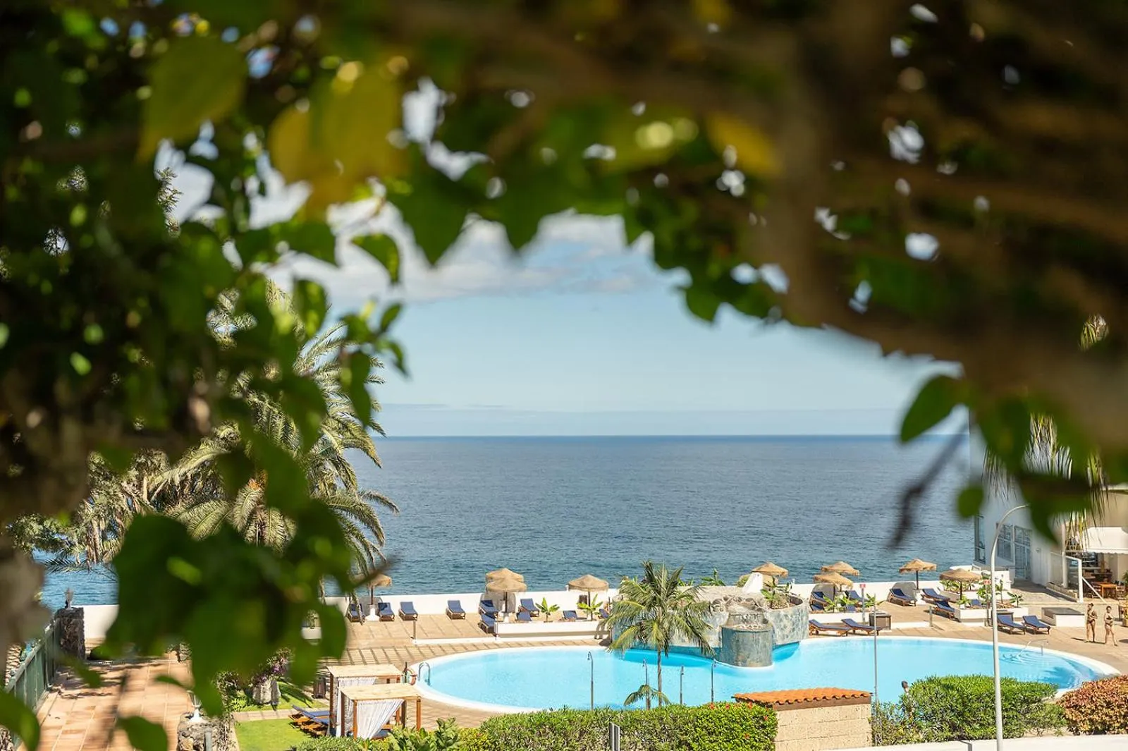 Natural landscape in Precise Resort Tenerife