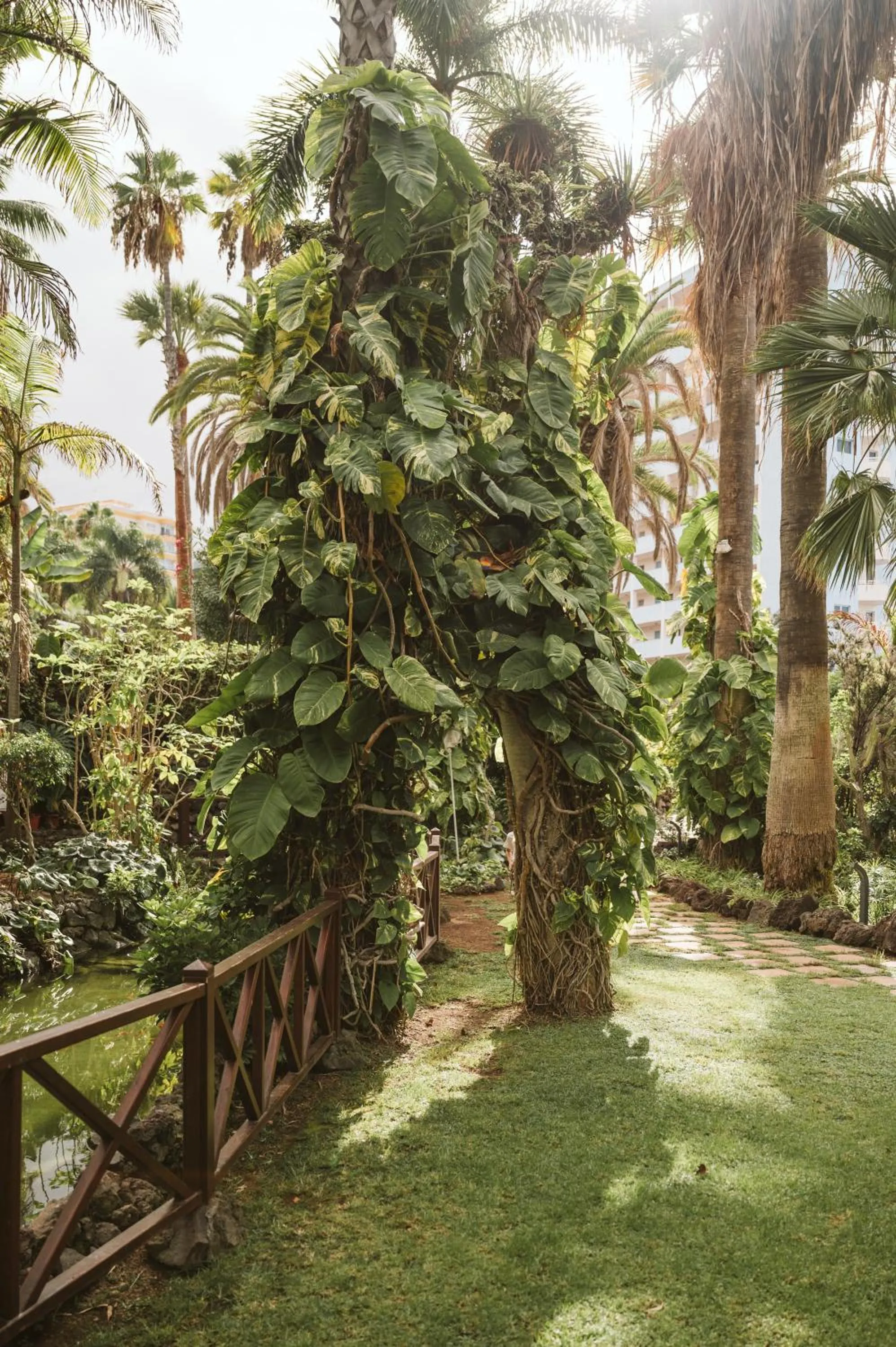 Natural landscape in Precise Resort Tenerife