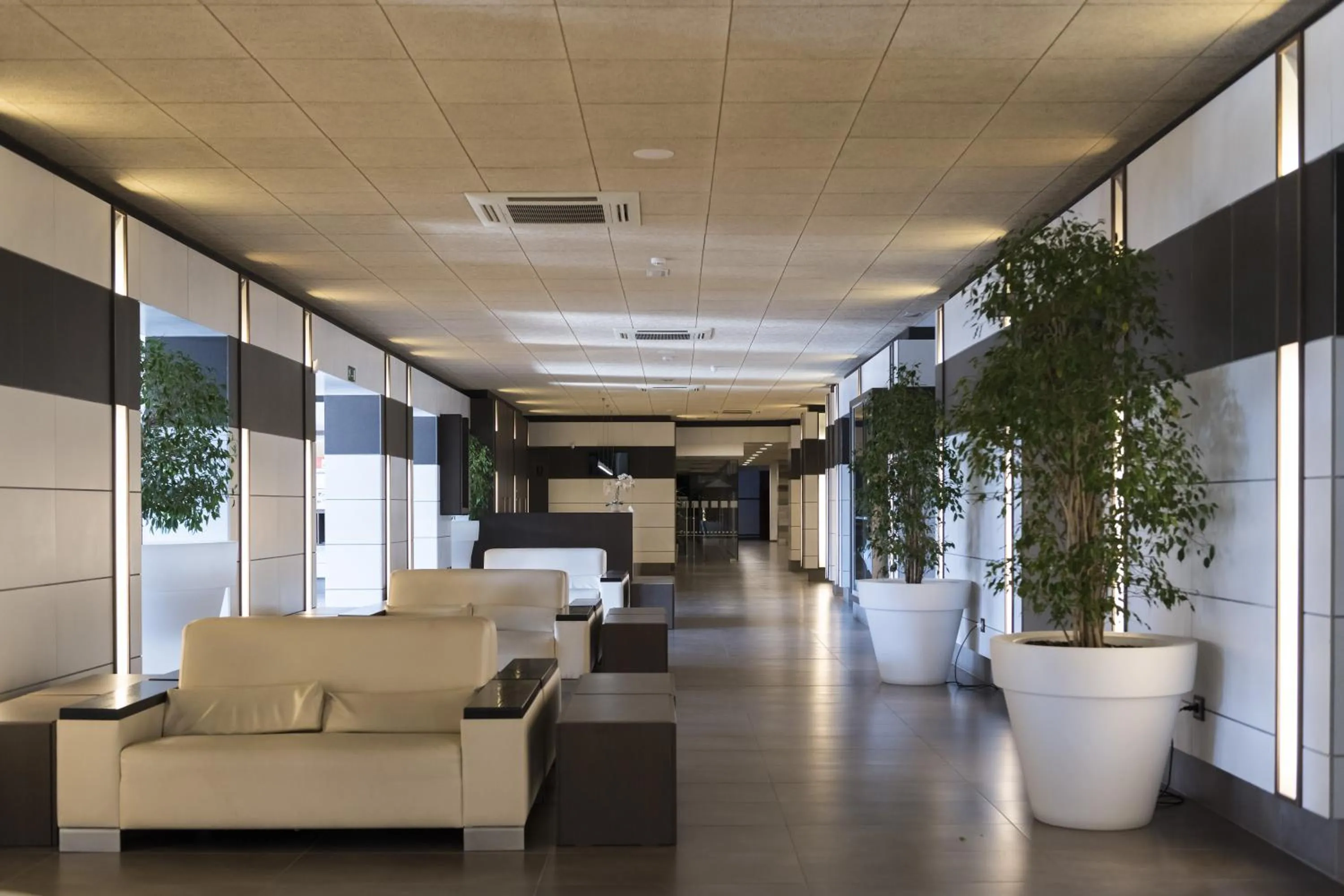 Lobby or reception in Hotel Papi