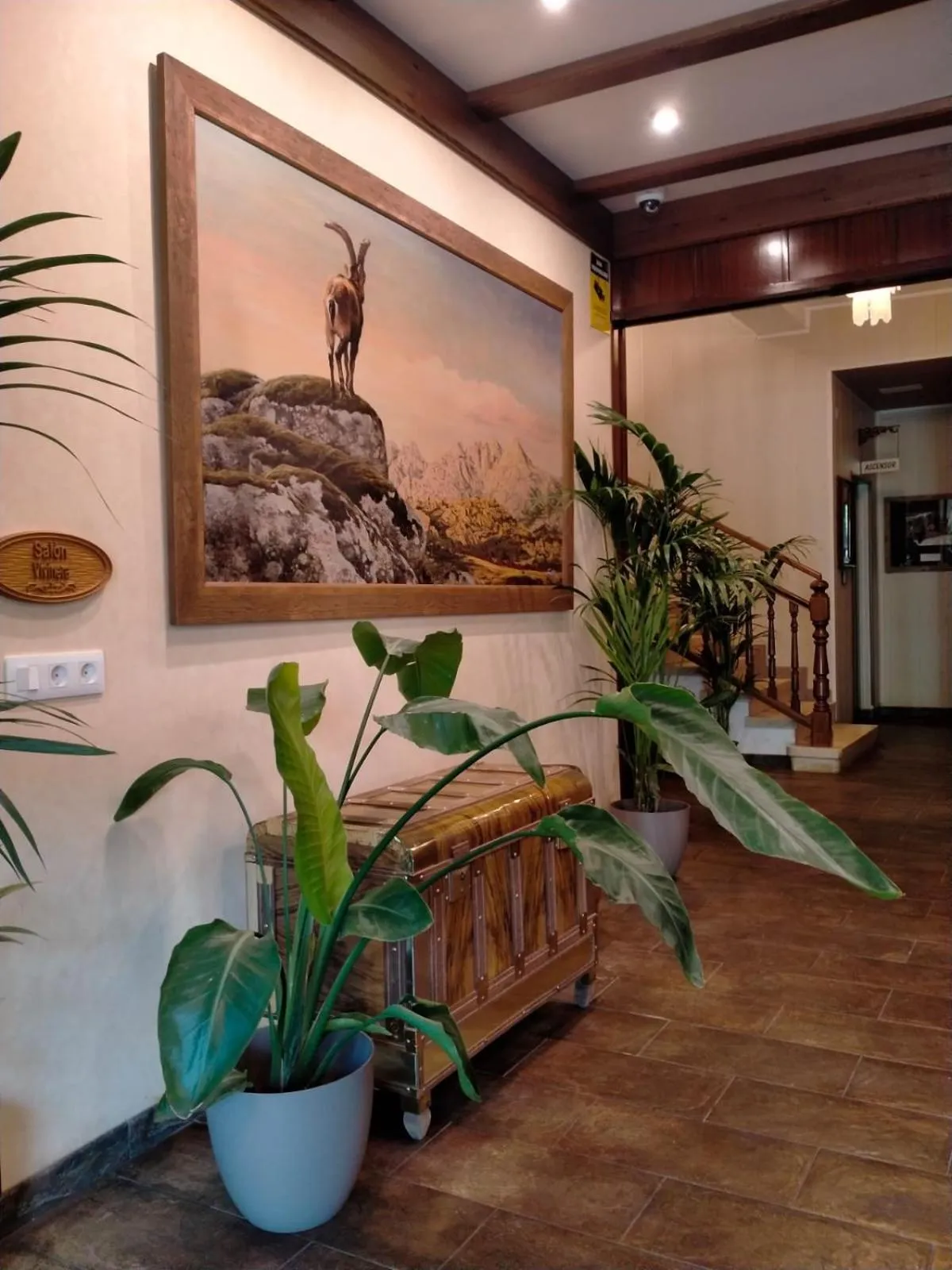 Lobby or reception in Edelweiss Hotel