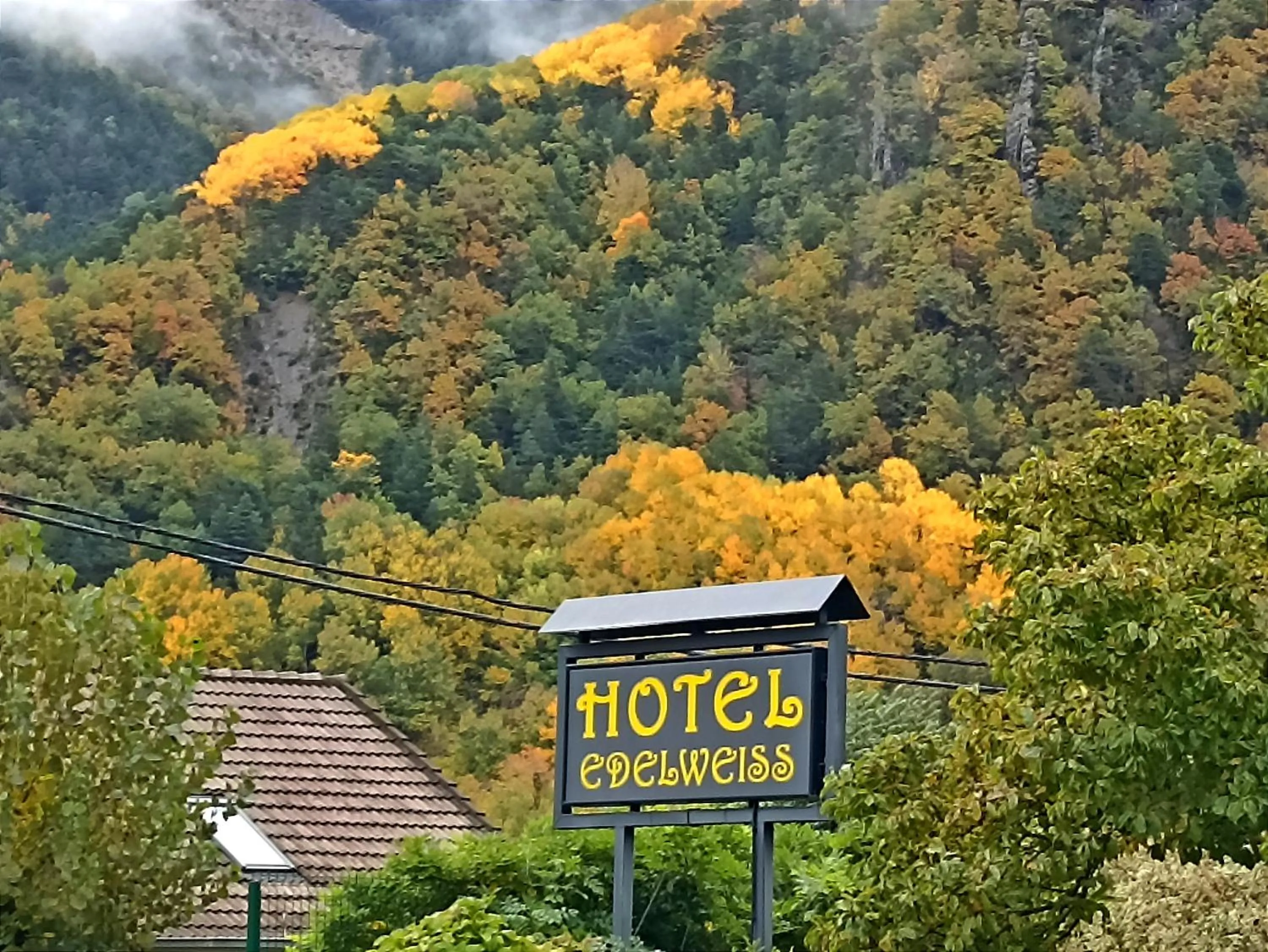 Property building in Edelweiss Hotel