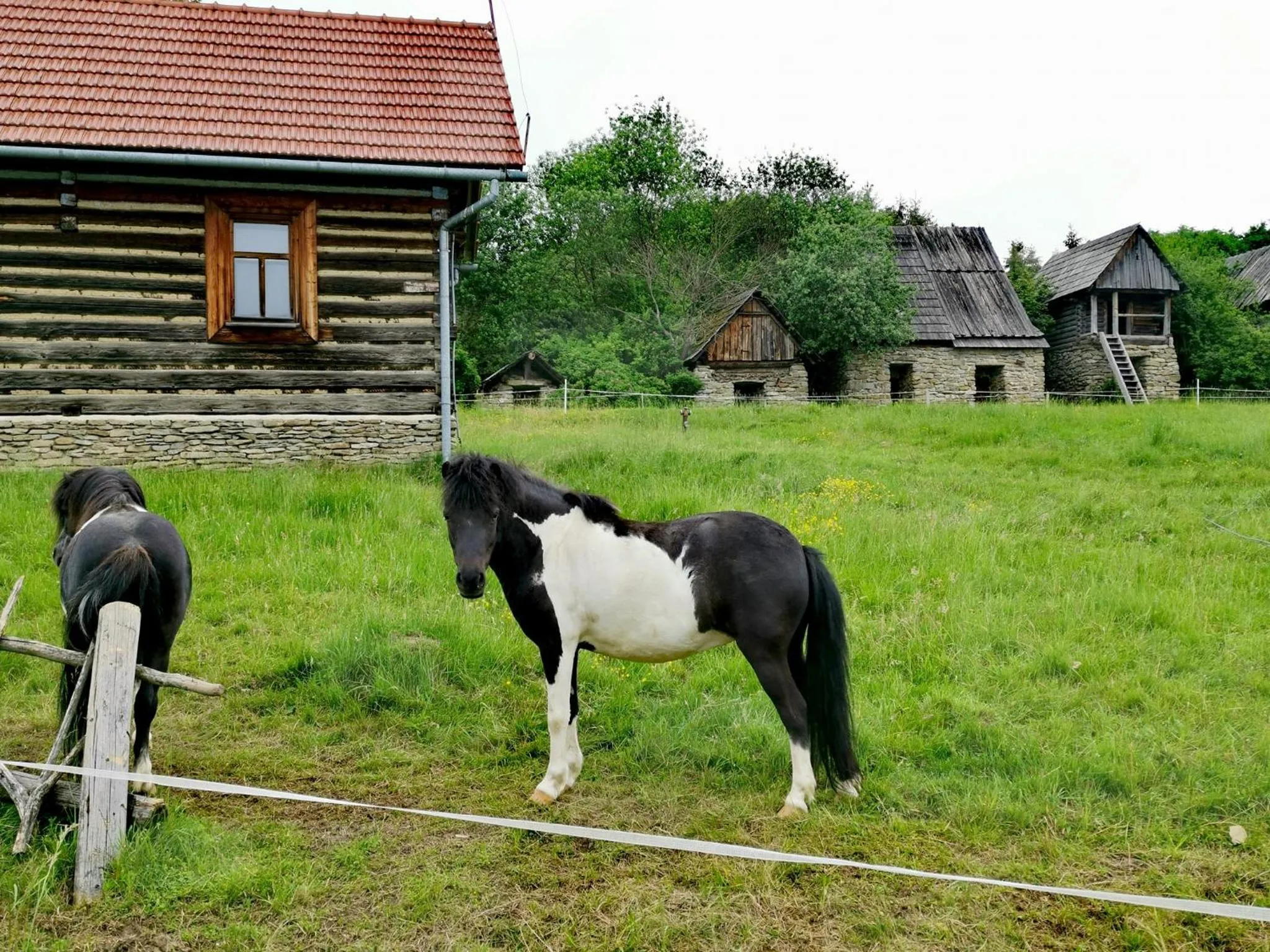 Pocztówka z Mizernej, domki z widokiem na góry, 1 km od Velo Czorsztyn, Jezioro Czorsztyńskie, rowery, cisza, spokój