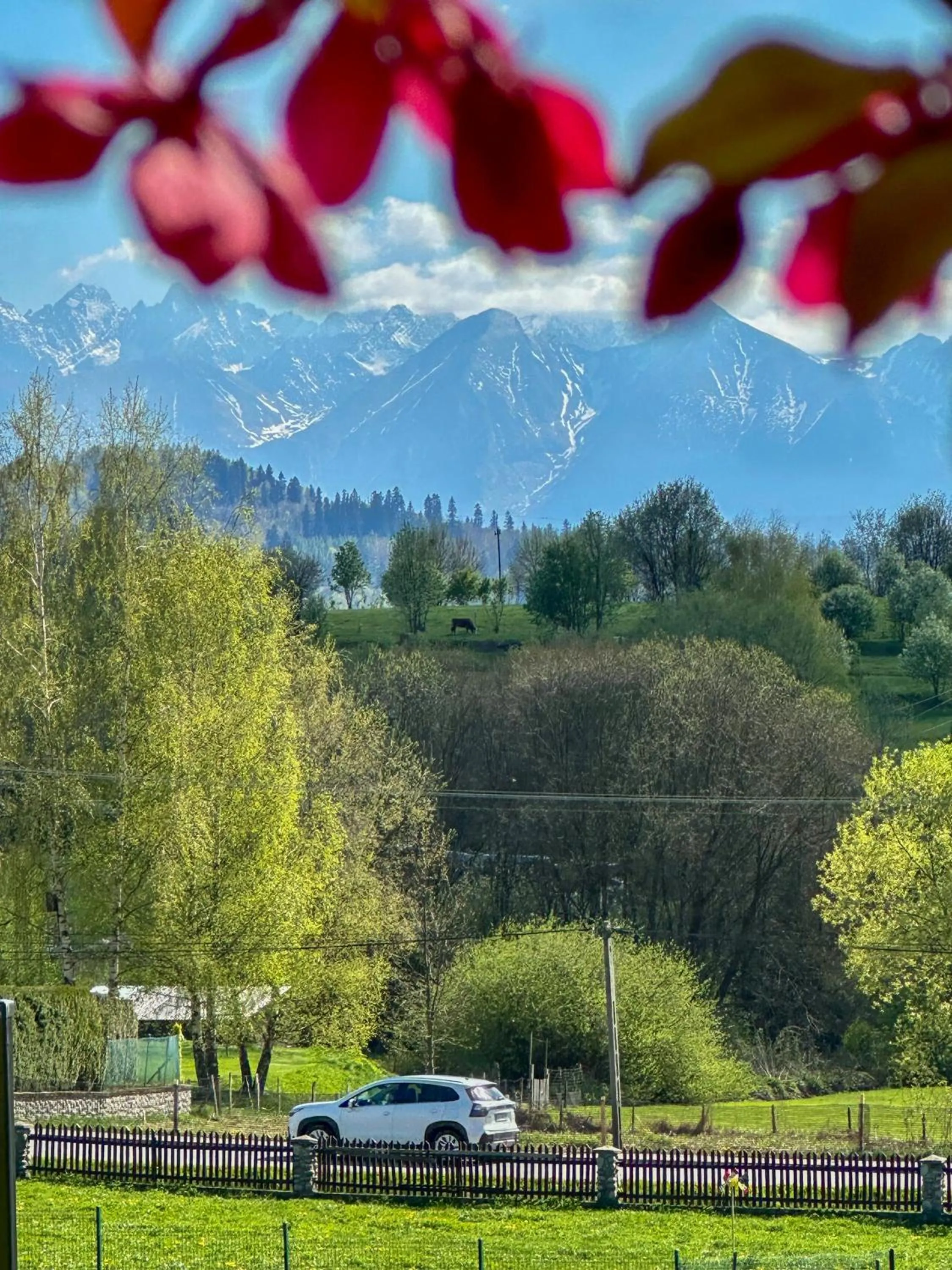 Mountain view in Pocztówka z Mizernej, domki z widokiem na góry, 1 km od Velo Czorsztyn, Jezioro Czorsztyńskie, rowery, cisza, spokój