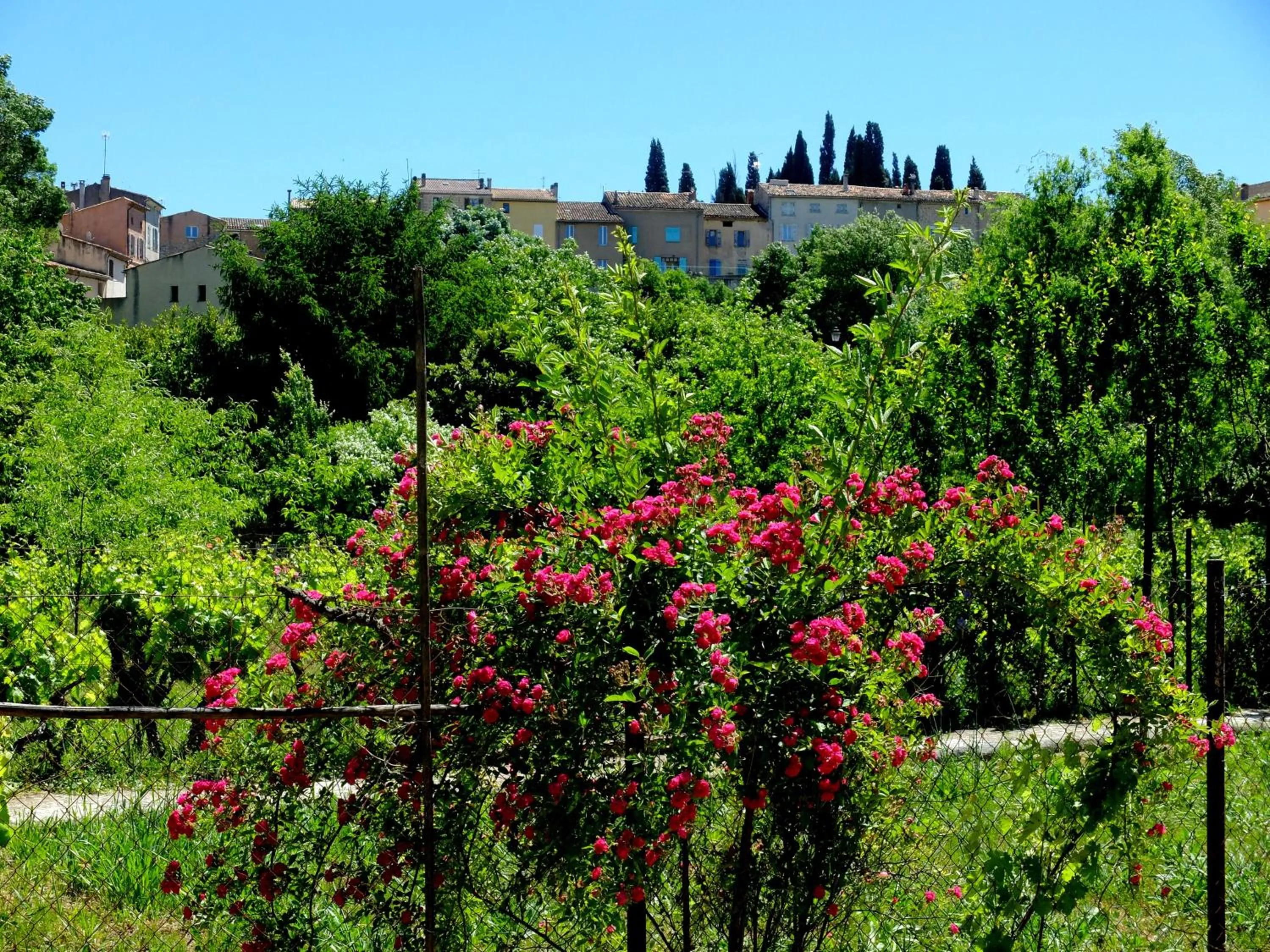 Natural landscape in La Maison de Campagne