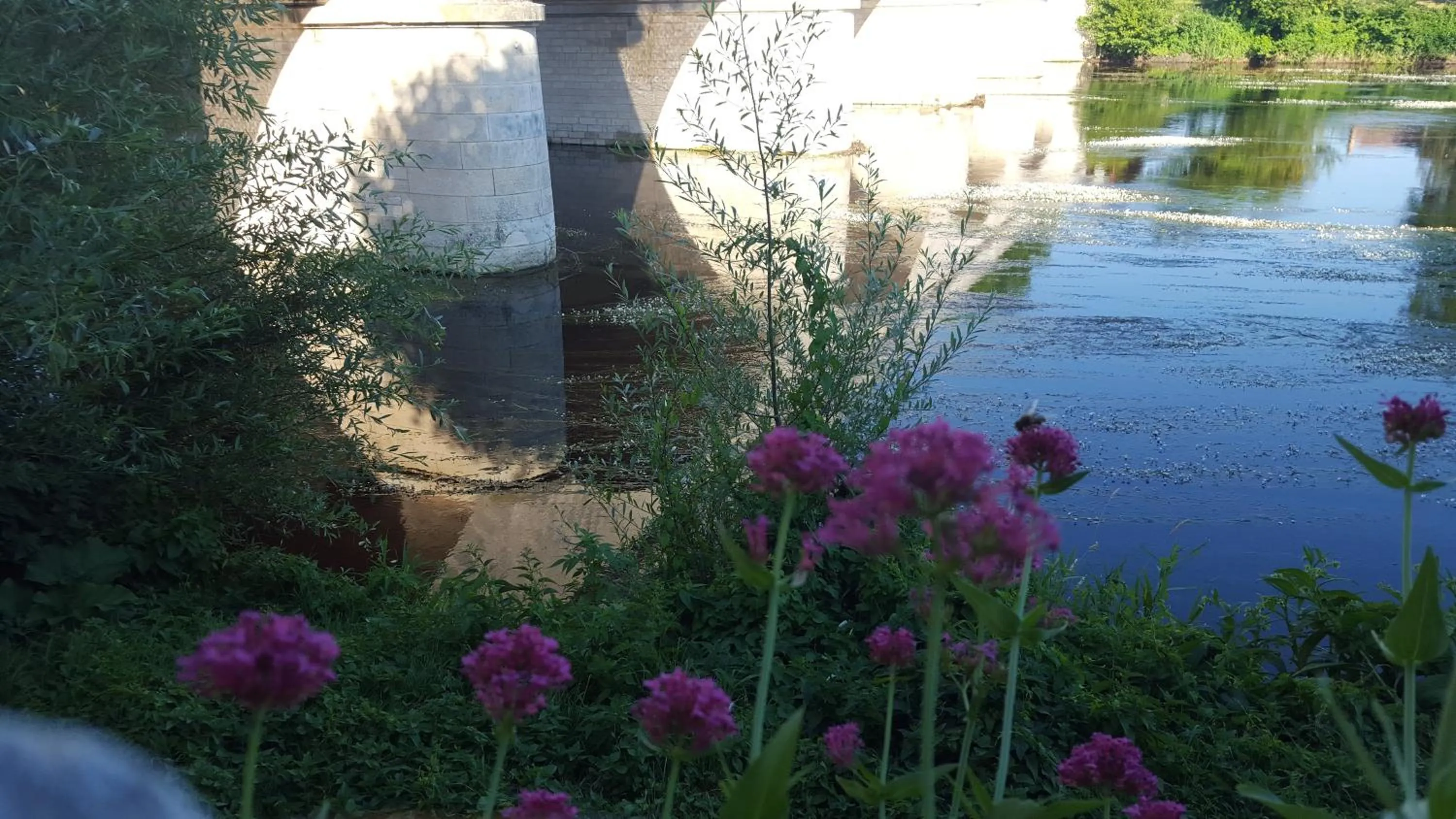 Nearby landmark in Hôtel de France