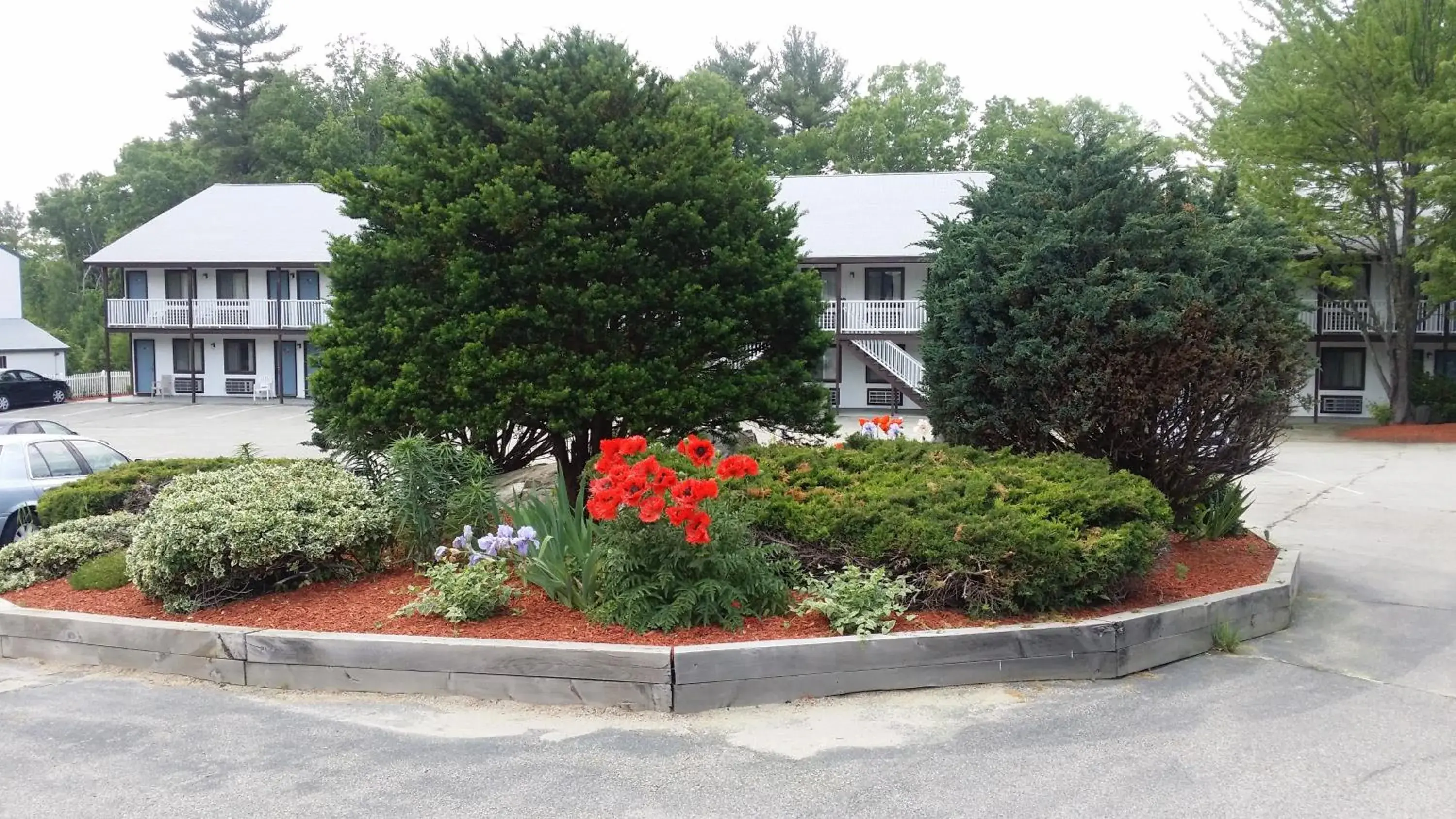 Standard King Room in Seabrook Inn Standard King Room in Seabrook Inn