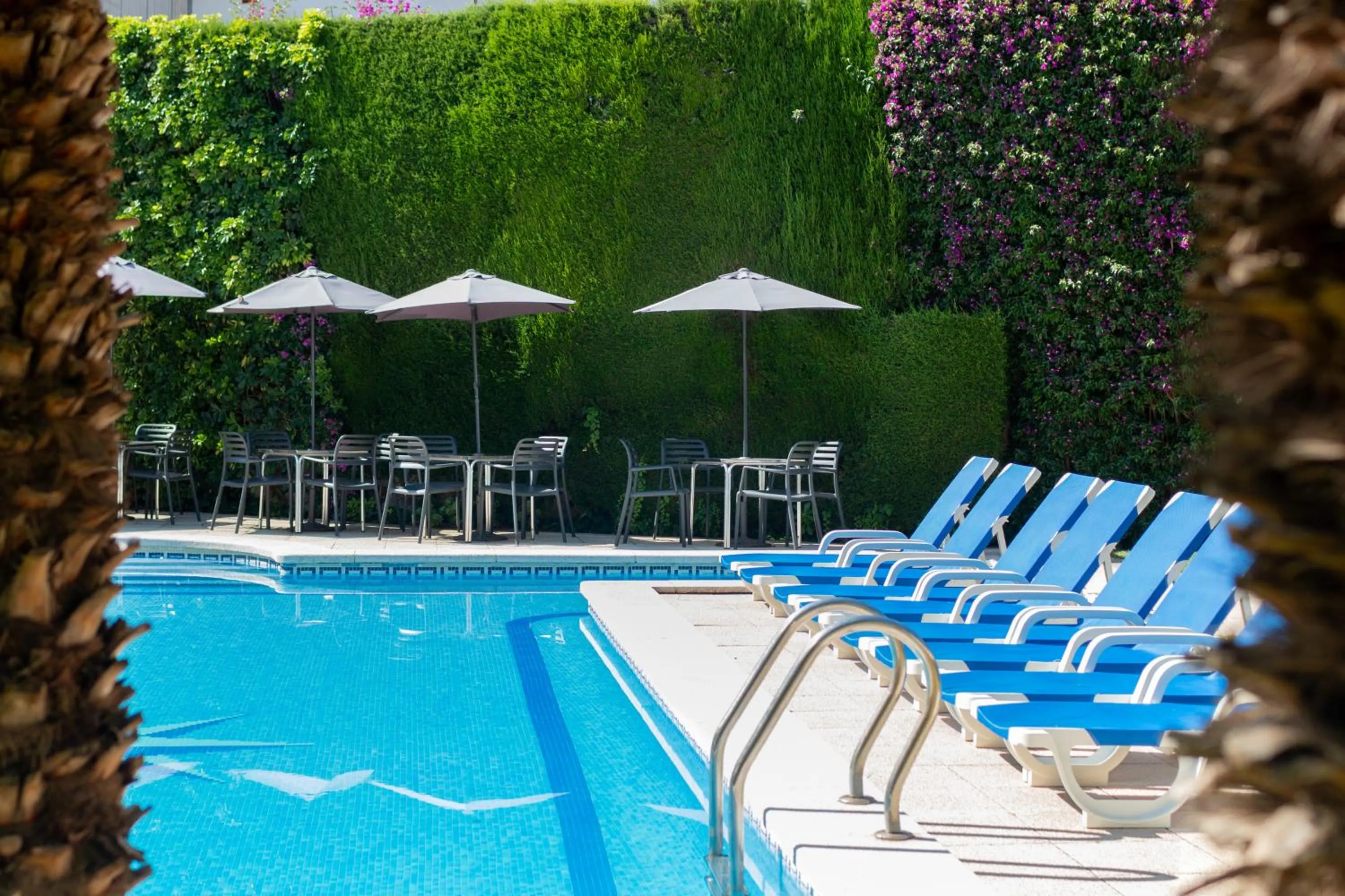 Garden in Hotel Yola