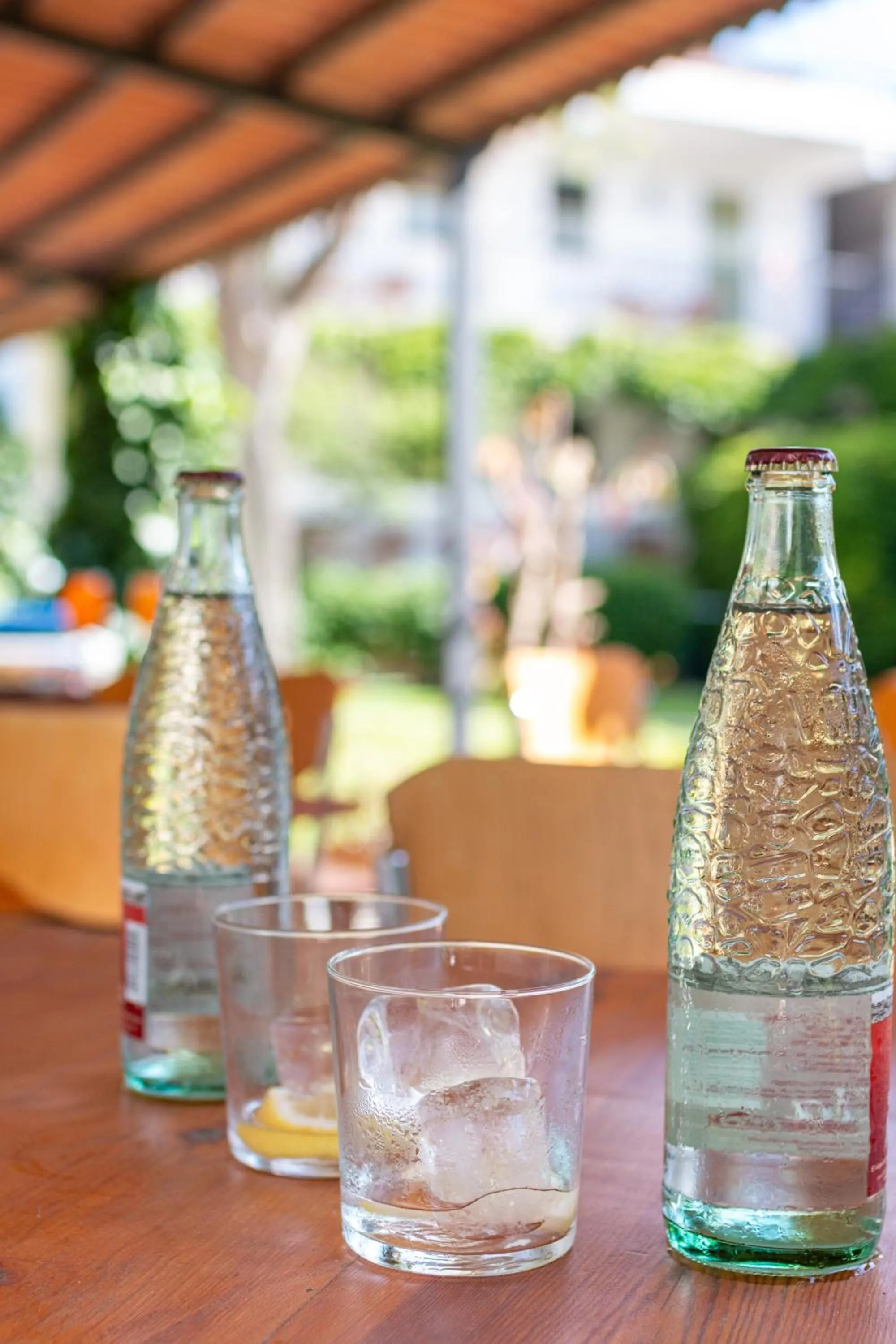 Garden in Hotel Yola