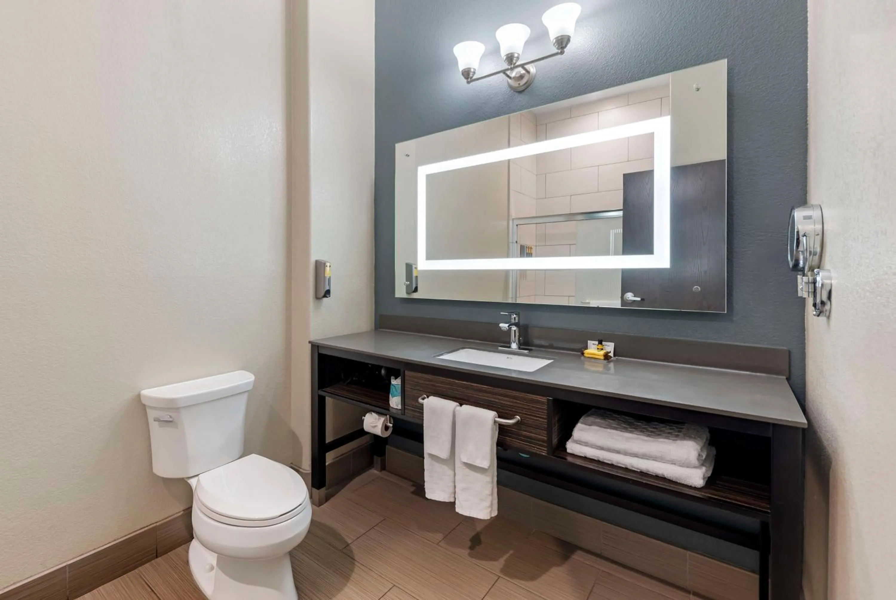 Bathroom in Best Western Plus Pflugerville Inn & Suites