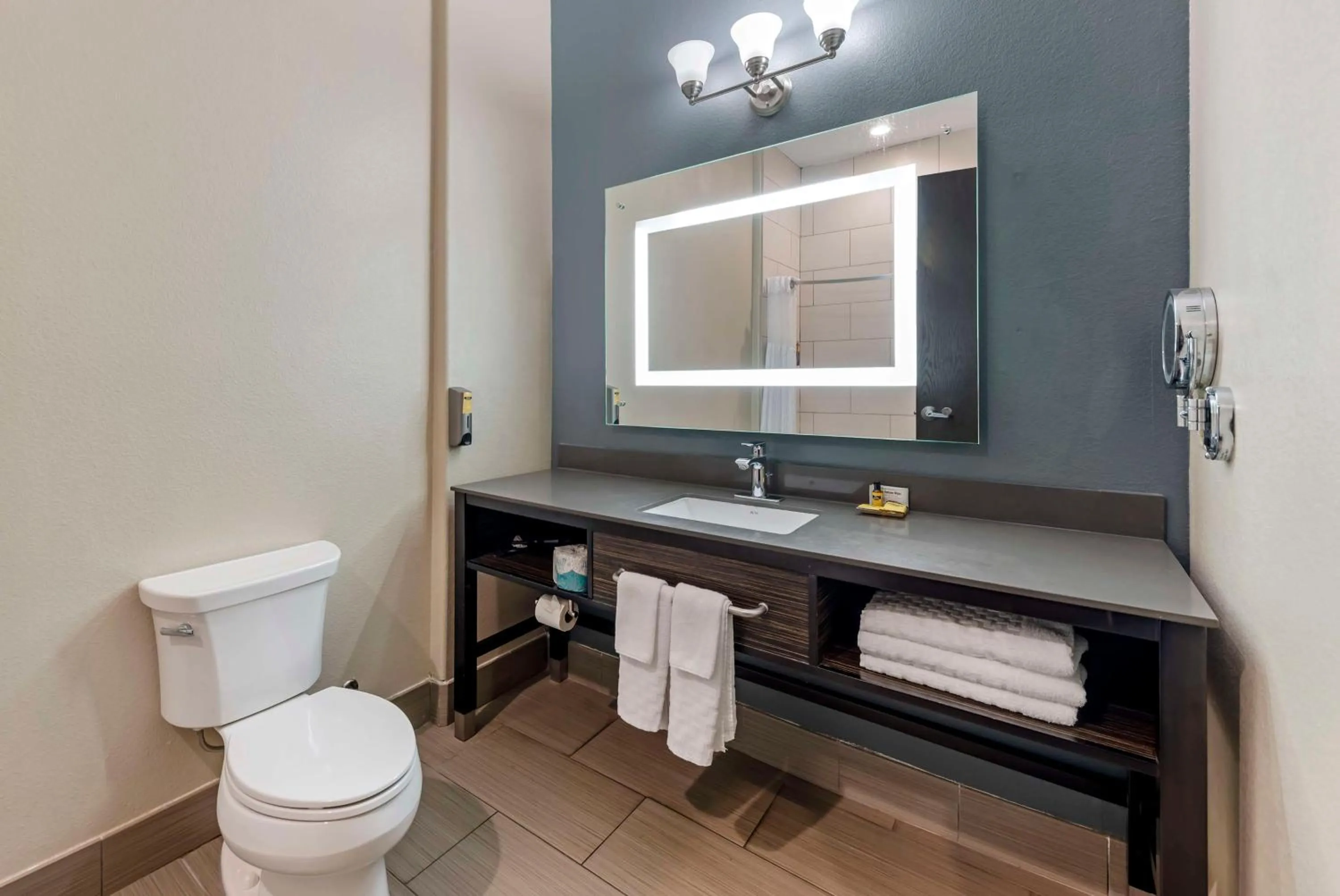 Bathroom in Best Western Plus Pflugerville Inn & Suites