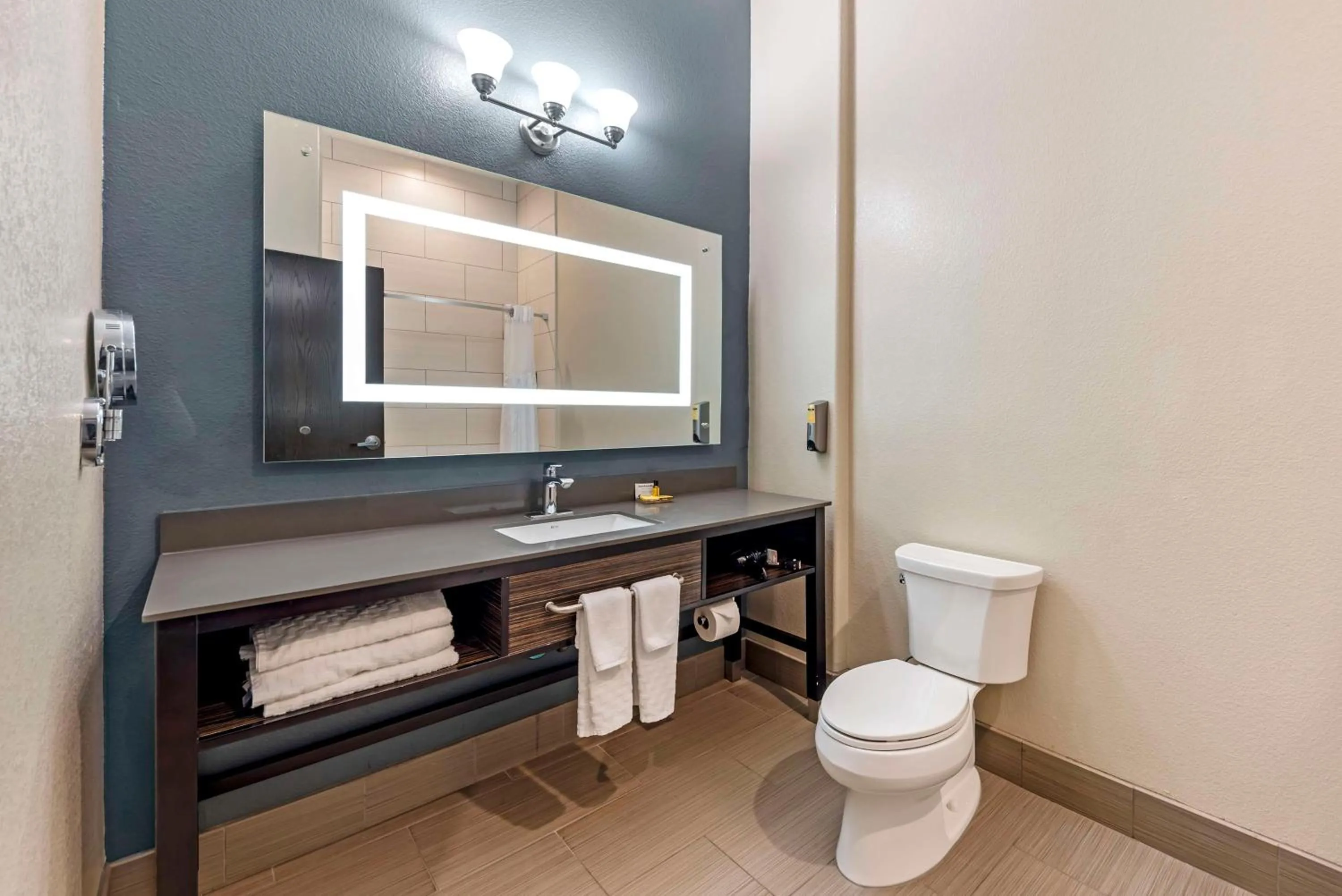 Bathroom in Best Western Plus Pflugerville Inn & Suites