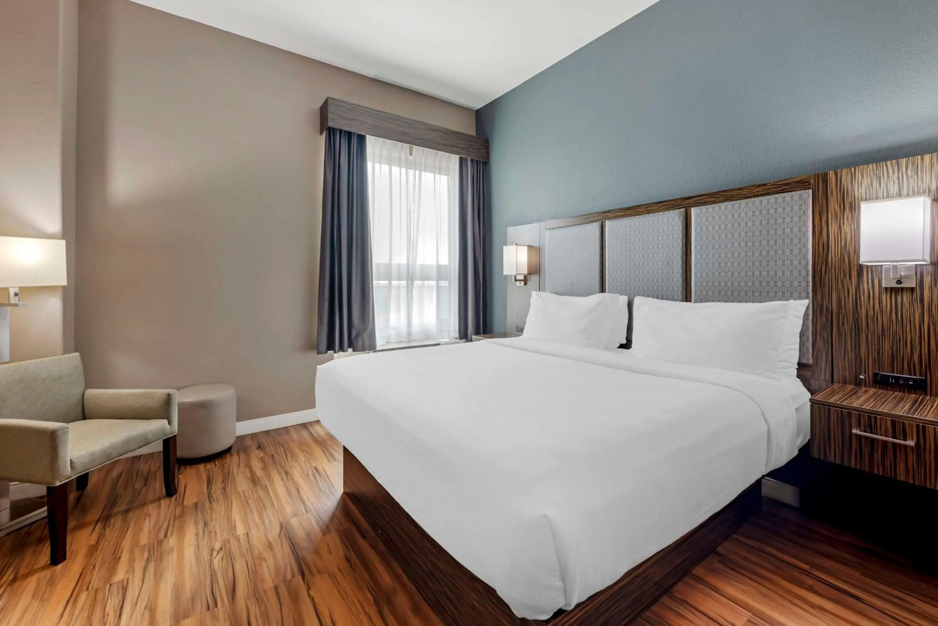 Photo of the whole room, Bed in Best Western Plus Pflugerville Inn & Suites