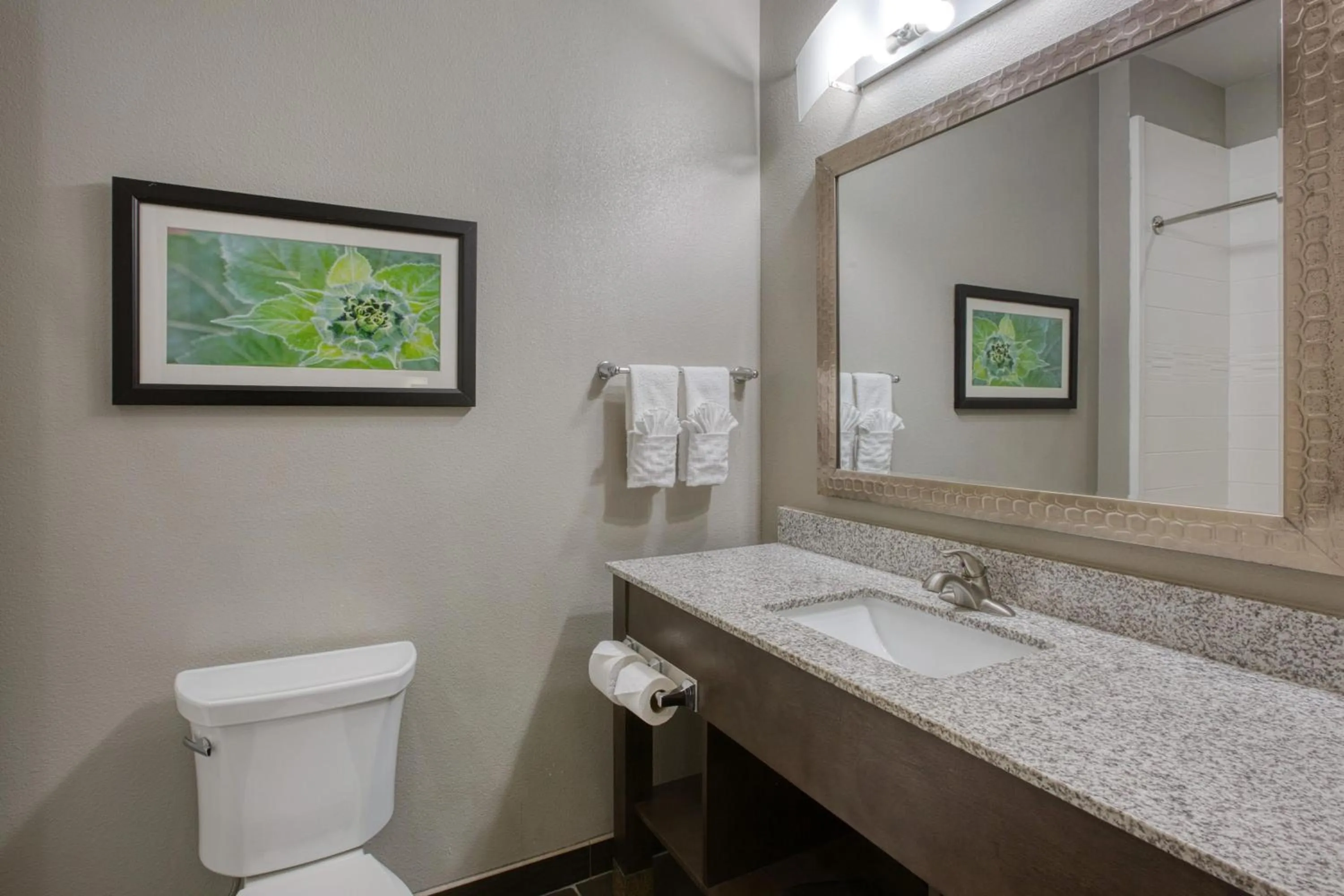 Bathroom in Best Western Plus Tech Medical Center Inn