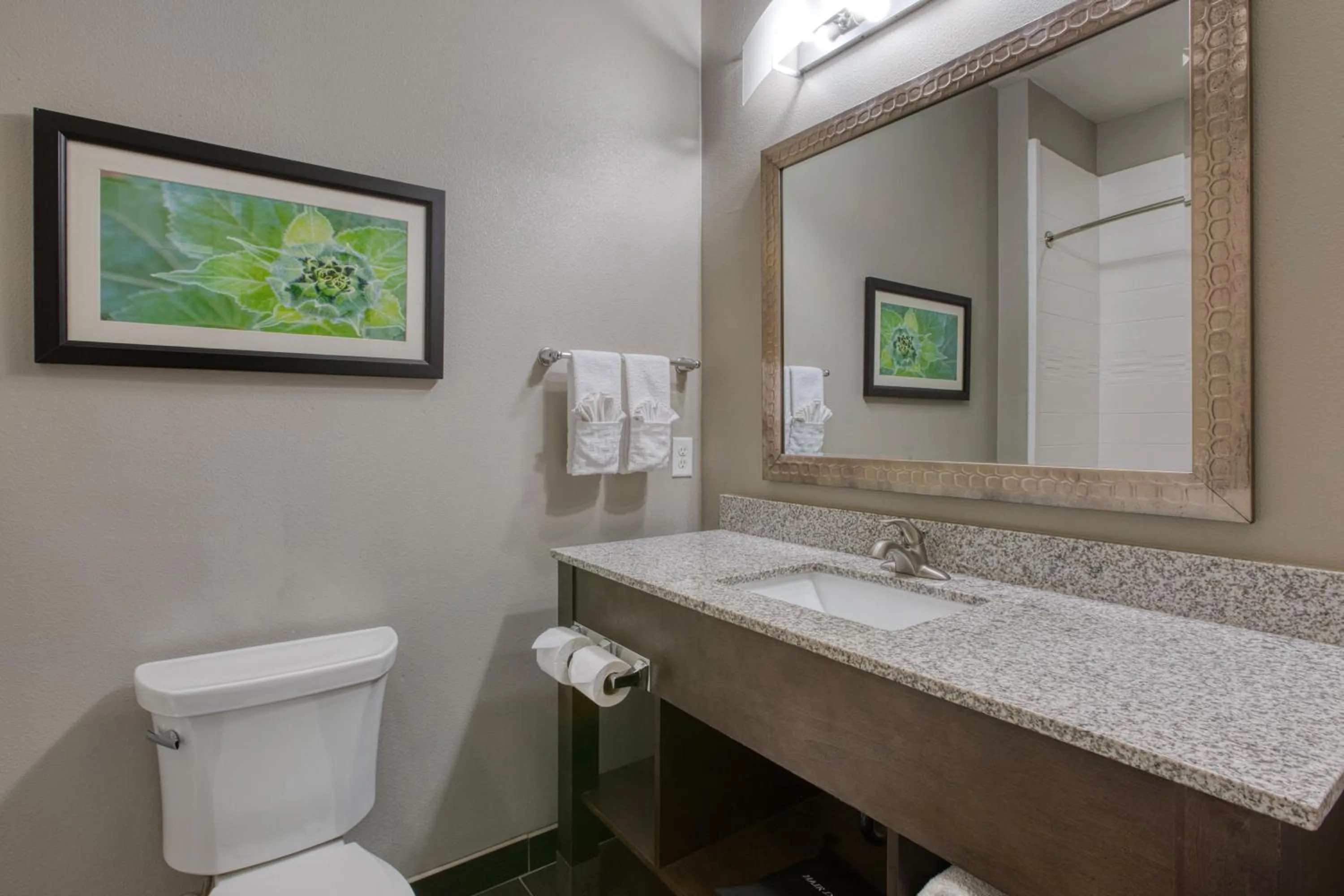 Bathroom in Best Western Plus Tech Medical Center Inn