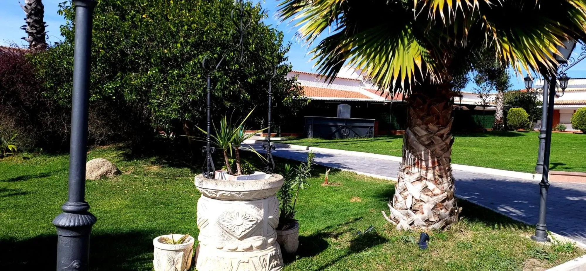 Garden in Hotel Salvador
