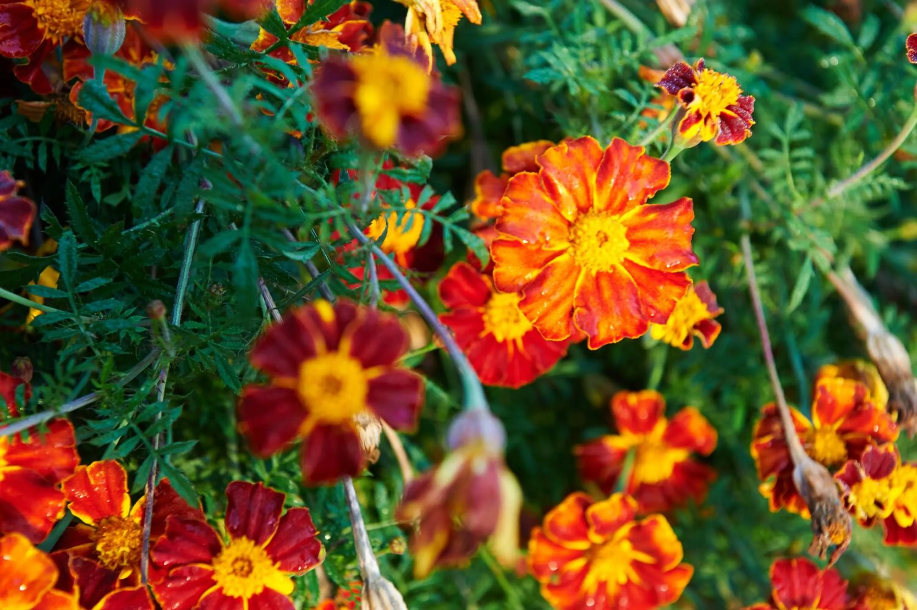 Other in Hotel Los Angeles