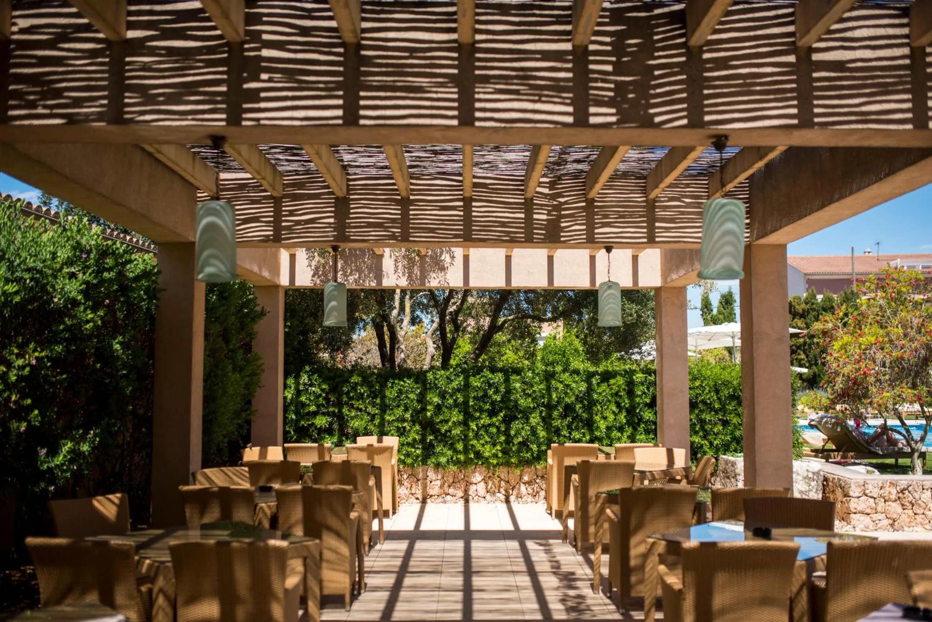 Garden in Hotel Ca'n Bonico