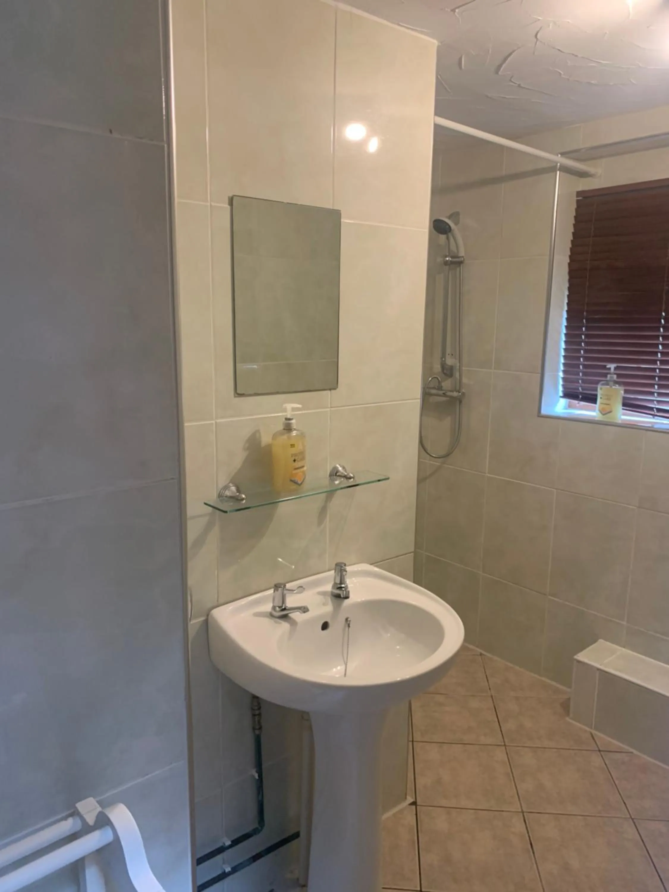 Shower in Bridge Farm Guesthouse rooms