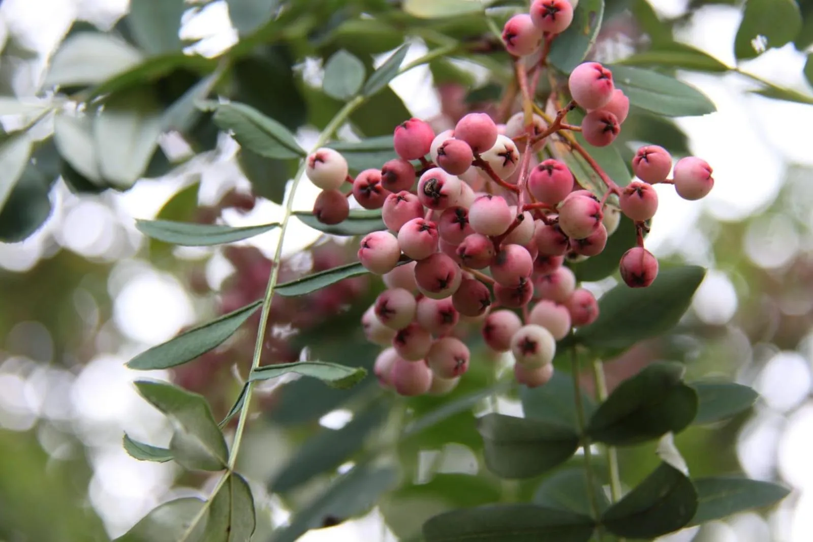 View (from property/room) in Bridge Farm Guesthouse rooms