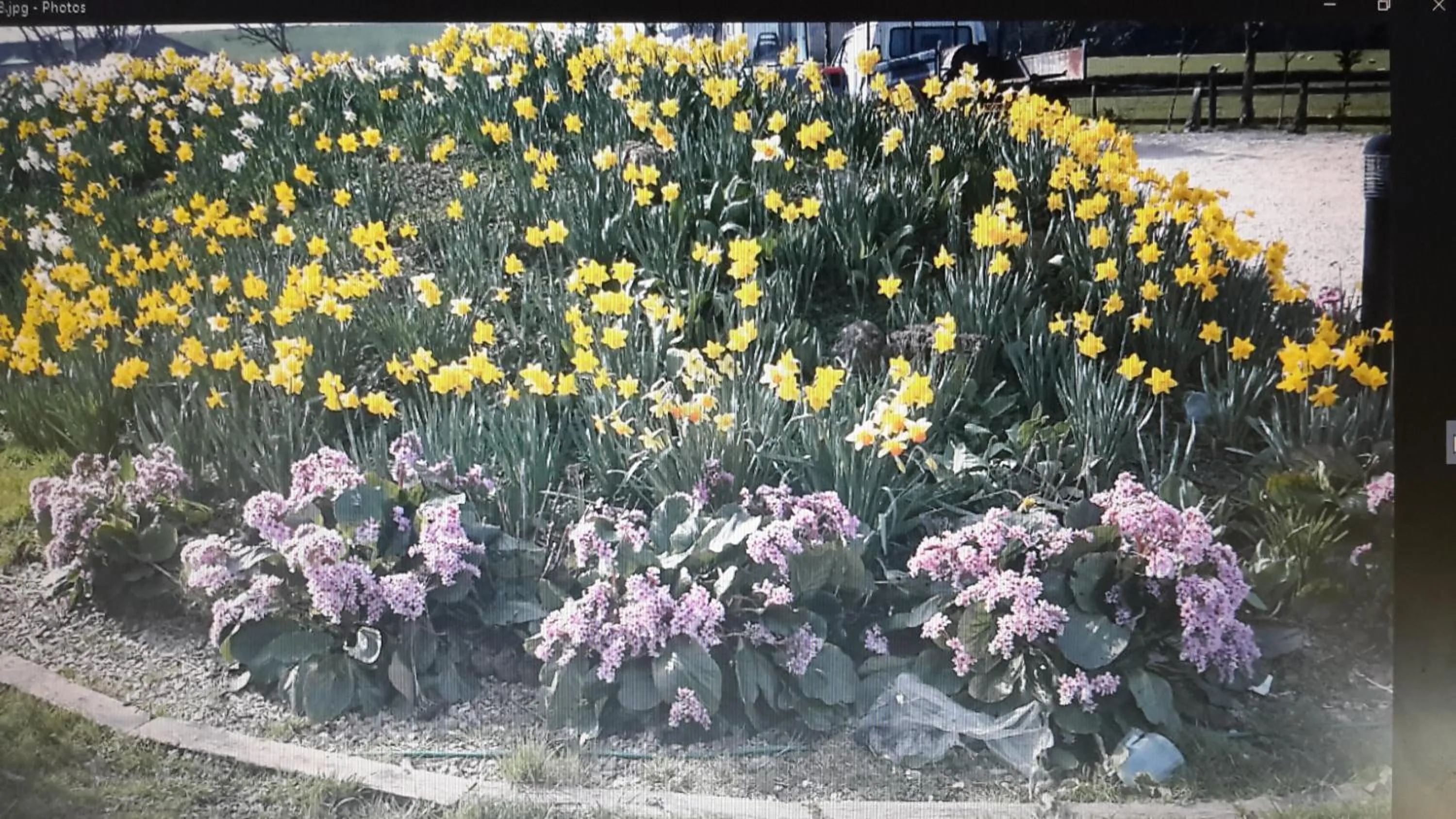 Natural landscape in Bridge Farm Guesthouse rooms