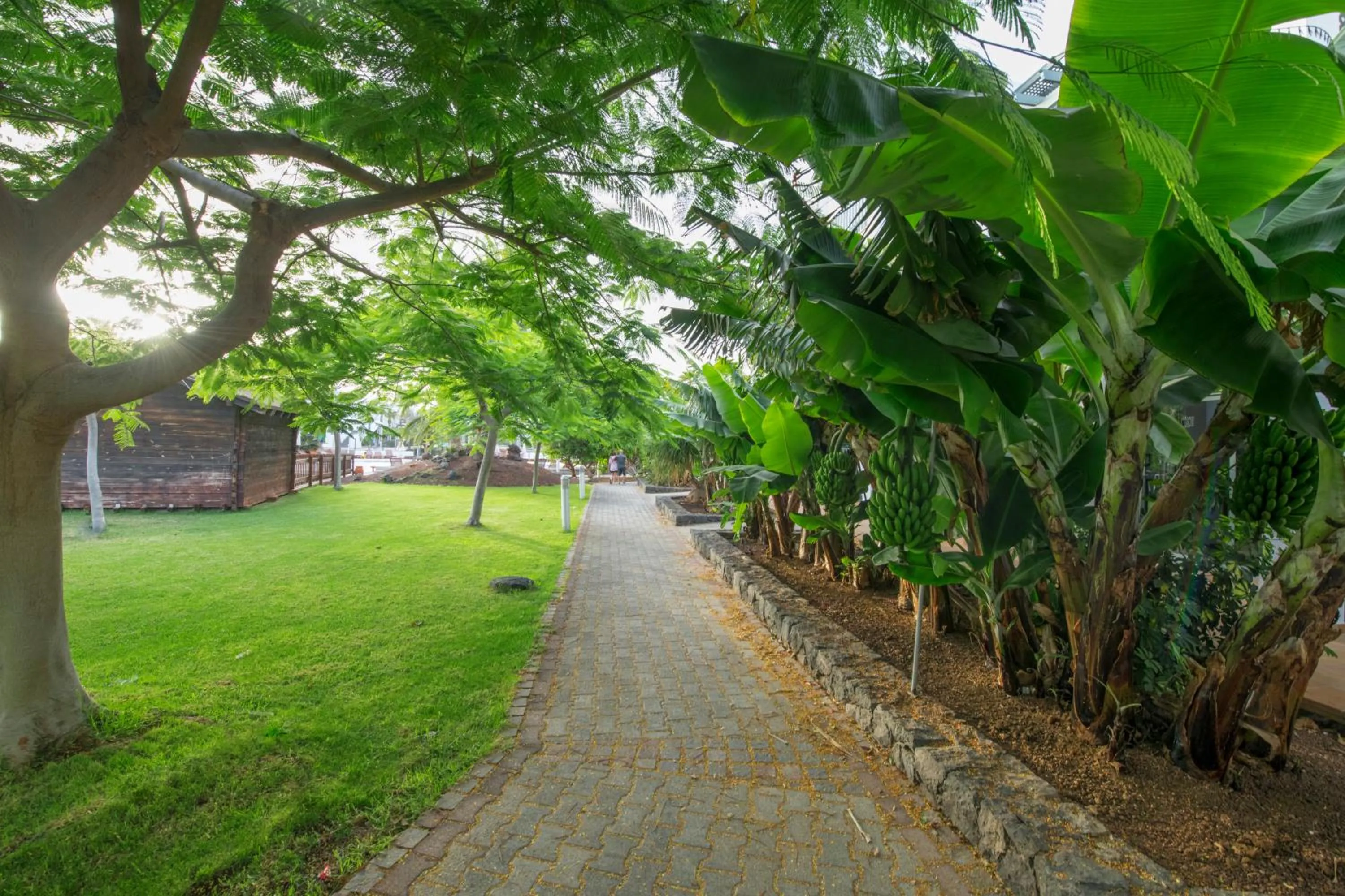 Garden in Las Marismas de Corralejo