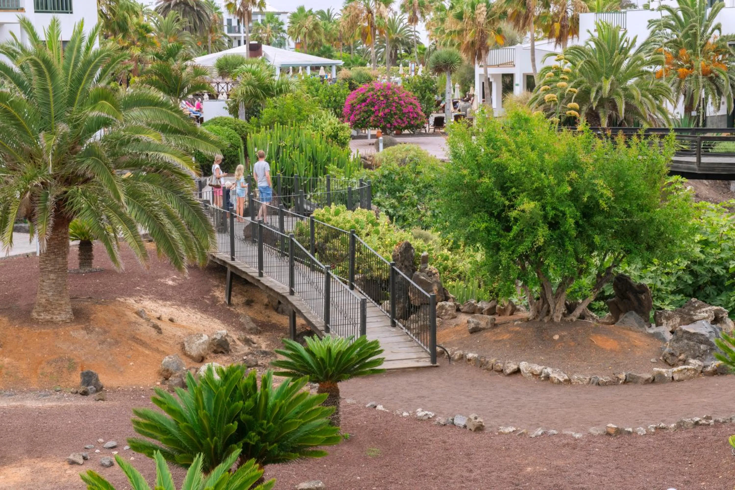 Garden view in Las Marismas de Corralejo
