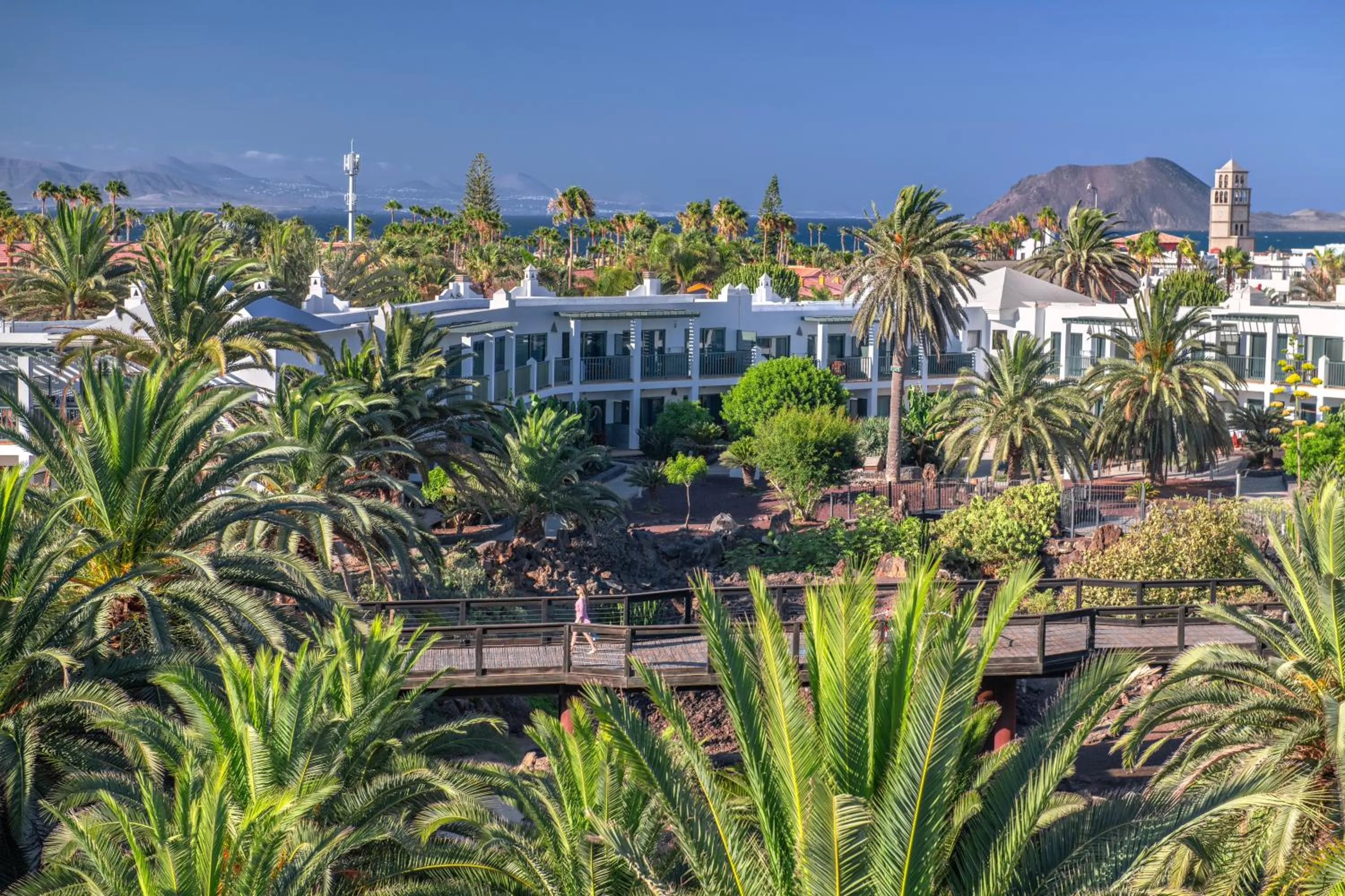 Garden in Las Marismas de Corralejo