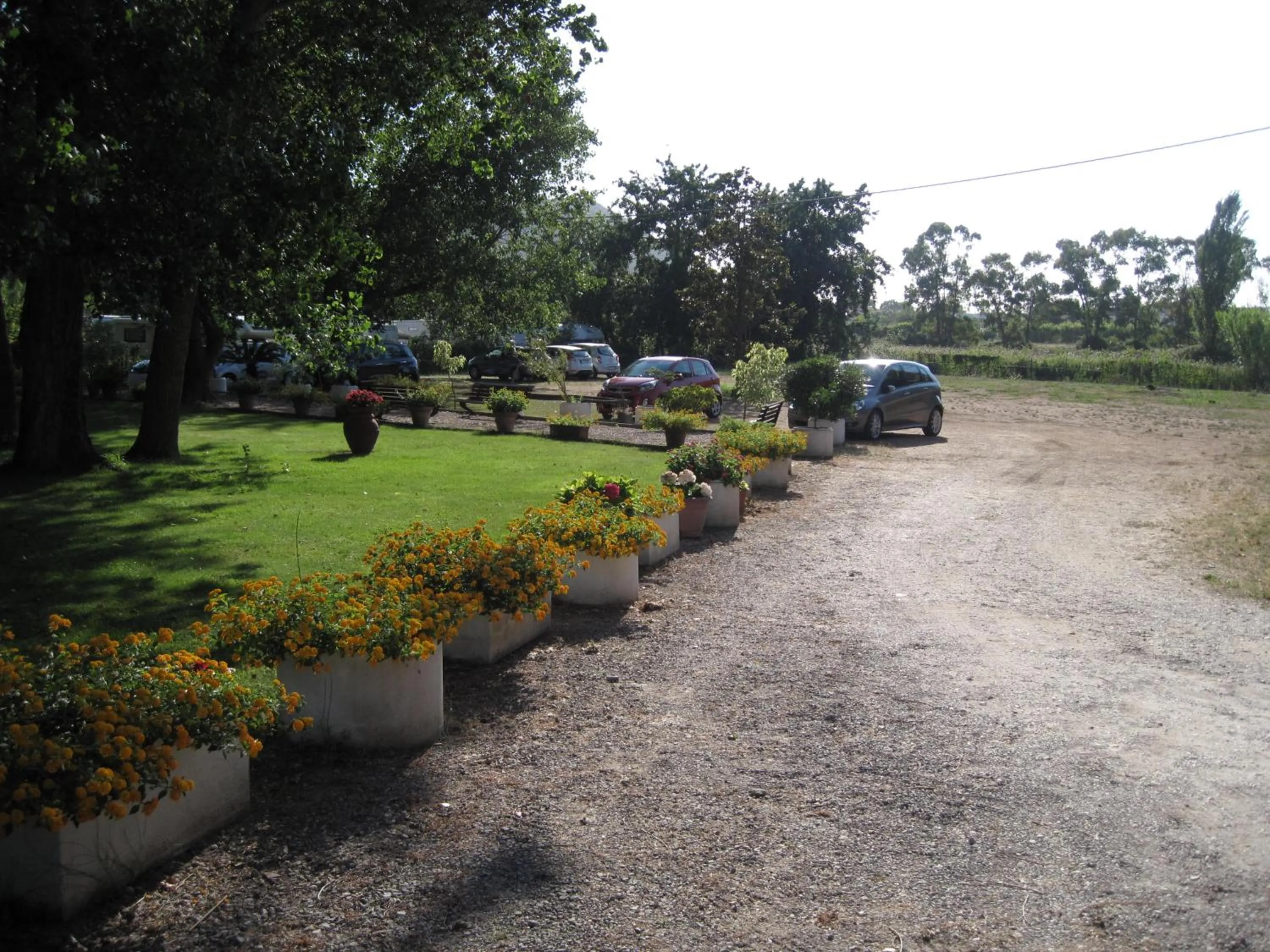 Garden in Hotel Le Pleiadi