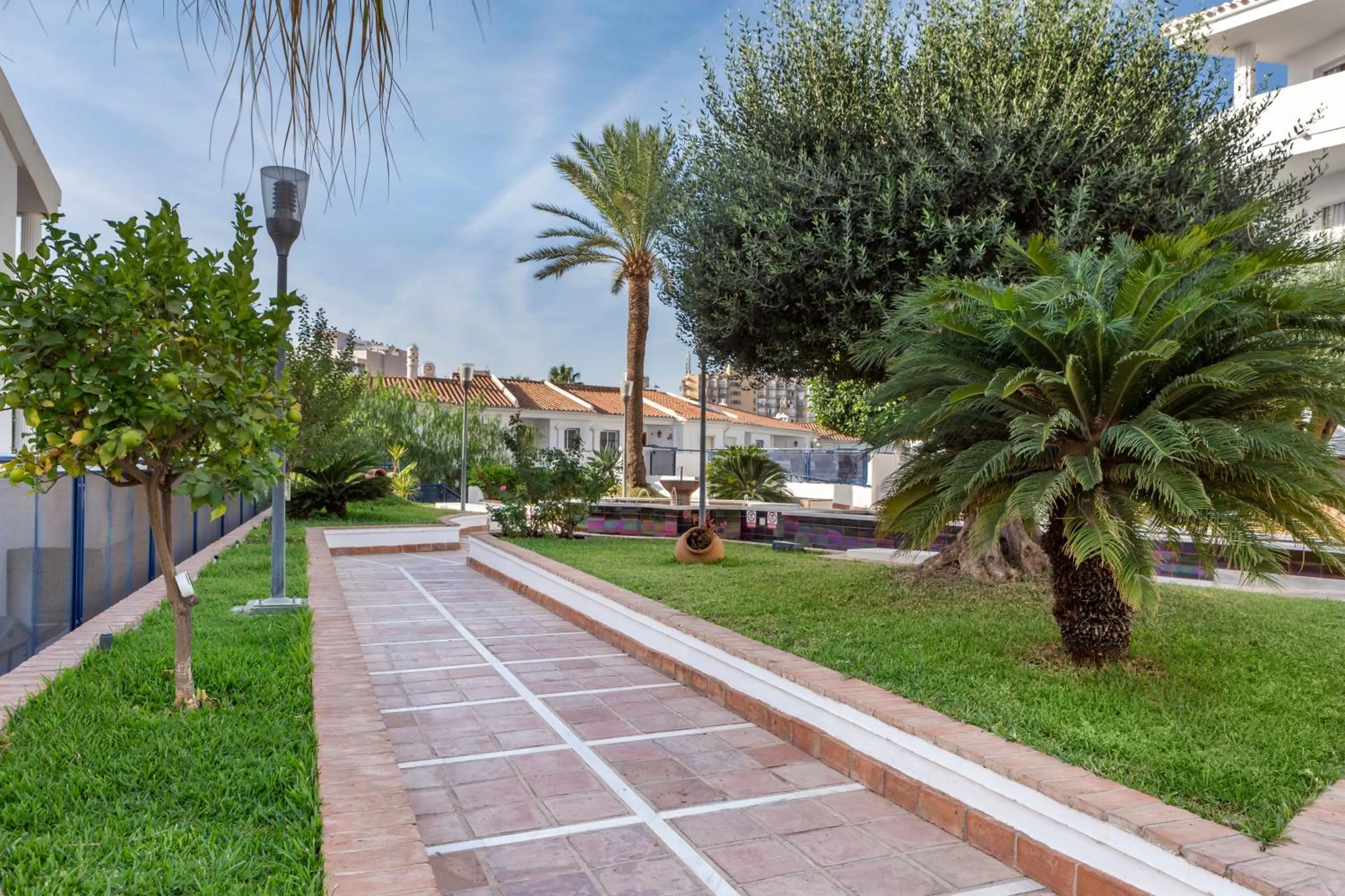 Garden in Sahara Sunset