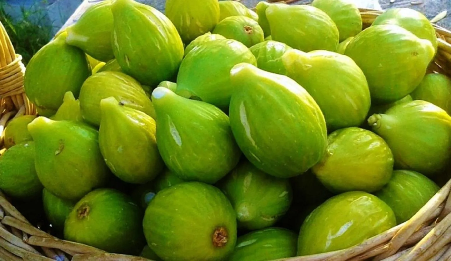 Garden in Casale Calabria
