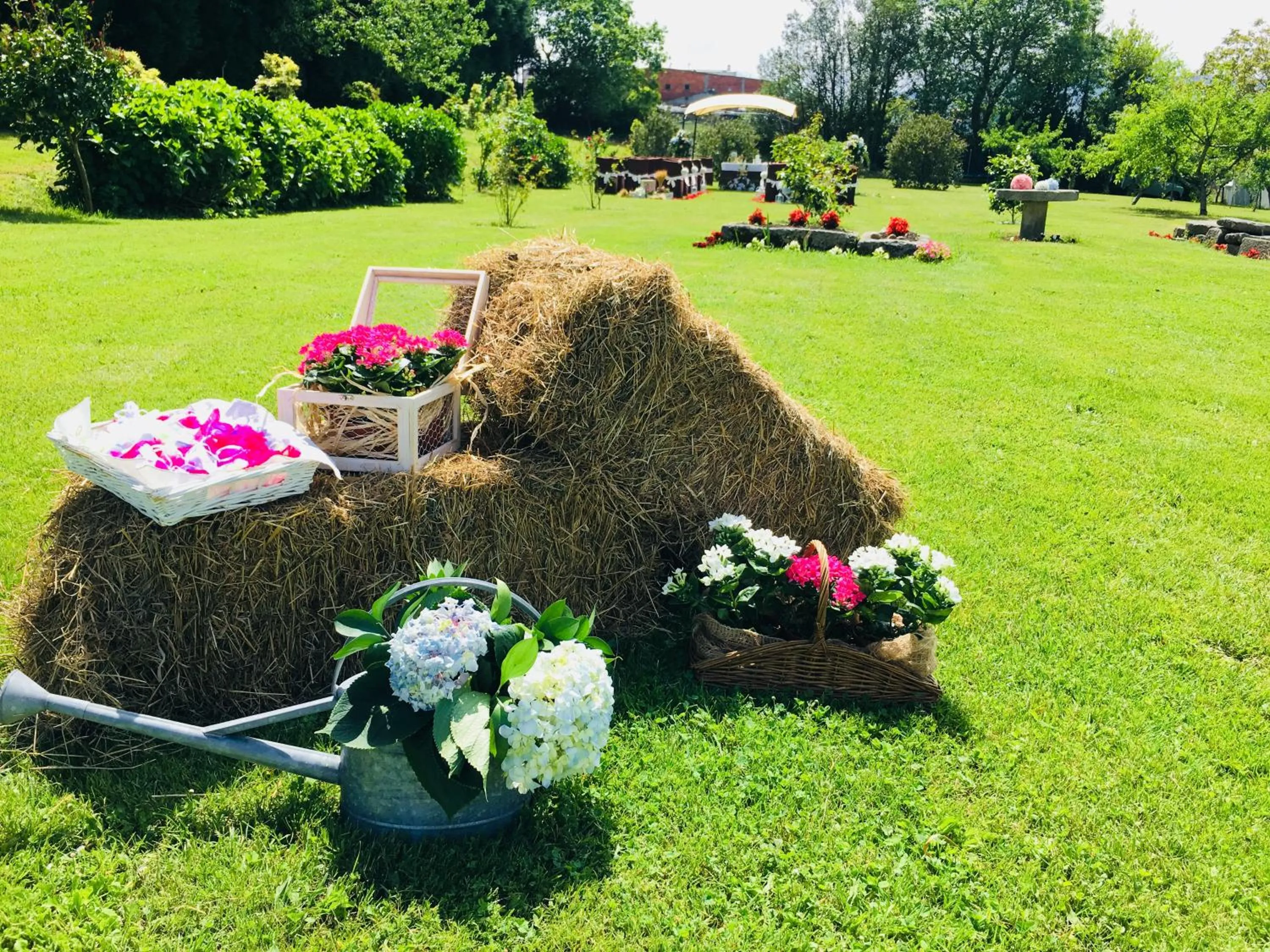 Garden in Hotel Casa Jurjo