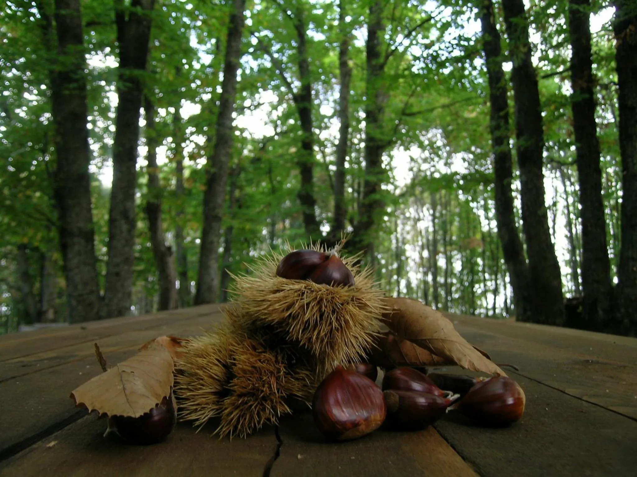 Nearby landmark in La Residenza del Marchesato