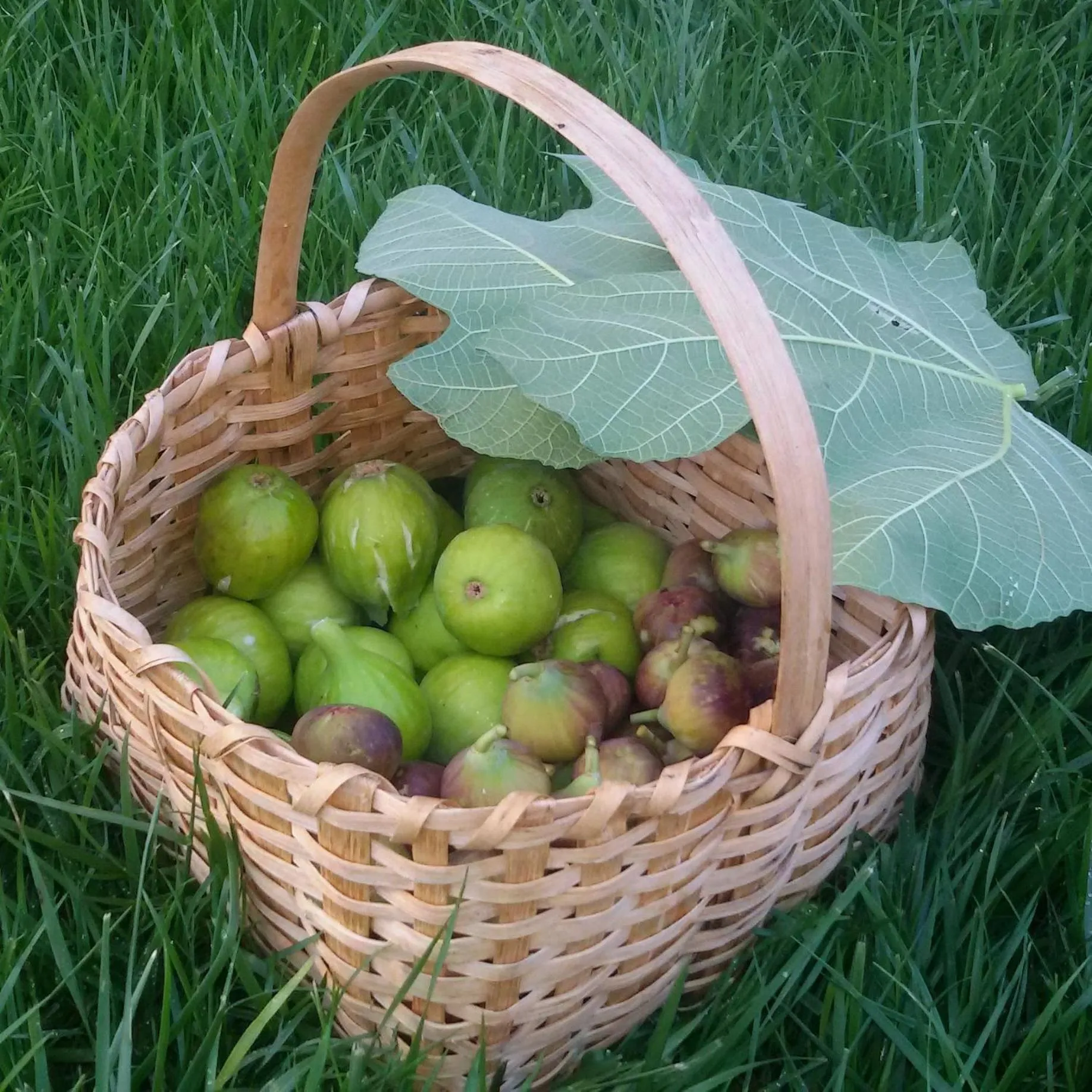 Breakfast in La Residenza del Marchesato