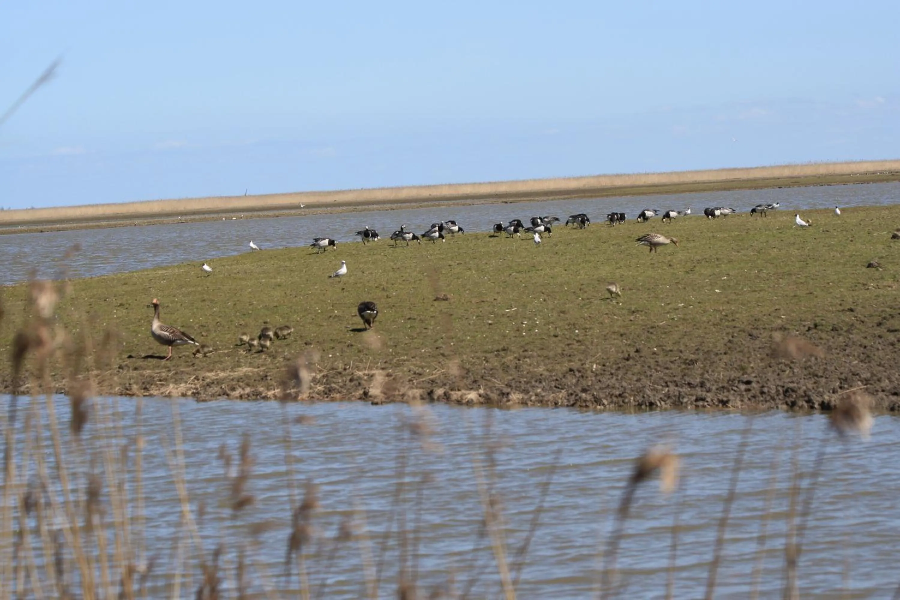 Natural landscape in Casa Mirador Sleep Inn