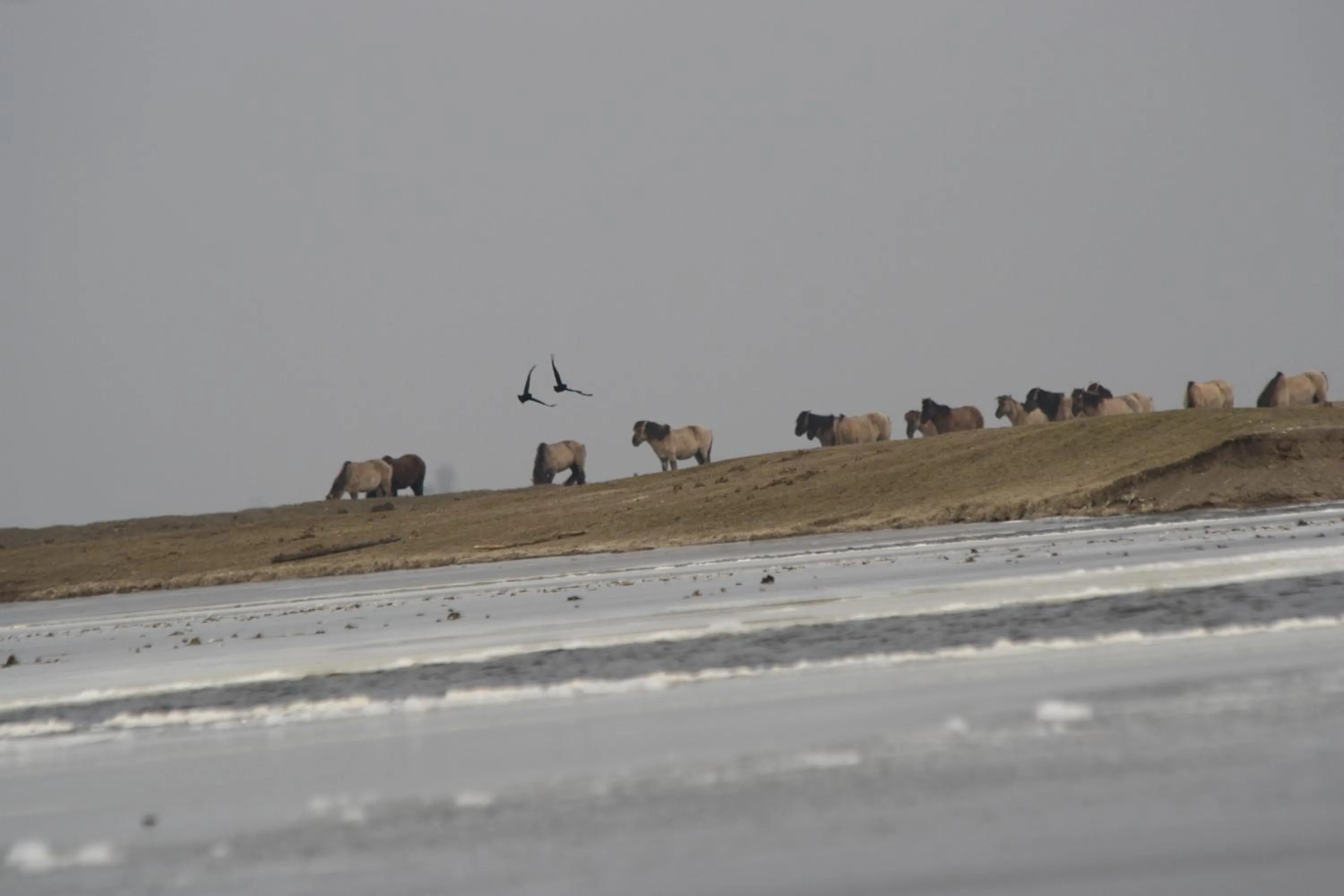 Natural landscape in Casa Mirador Sleep Inn