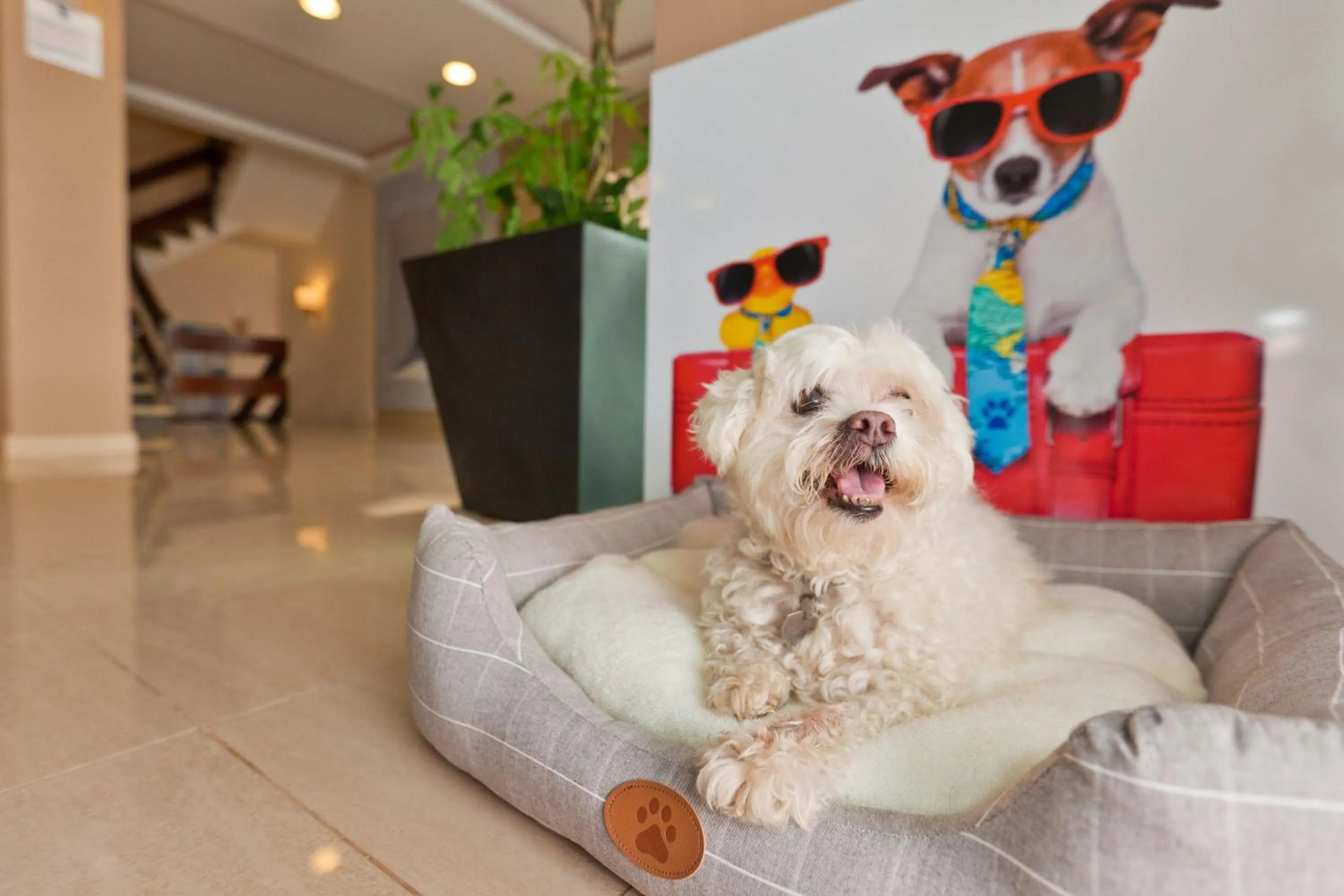 Animals in azuLine Hotel Mediterráneo