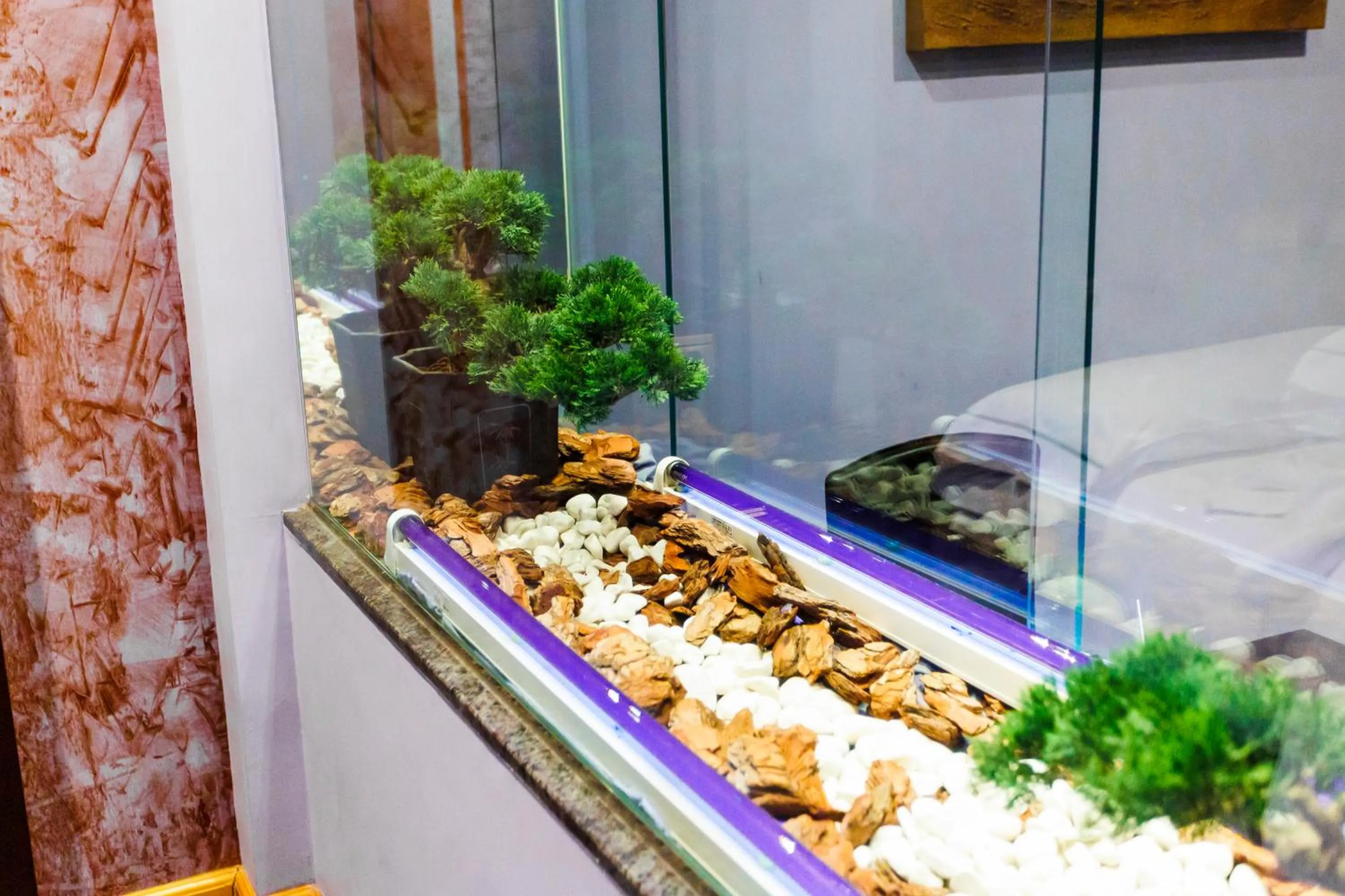 Motel Venus Valladolid