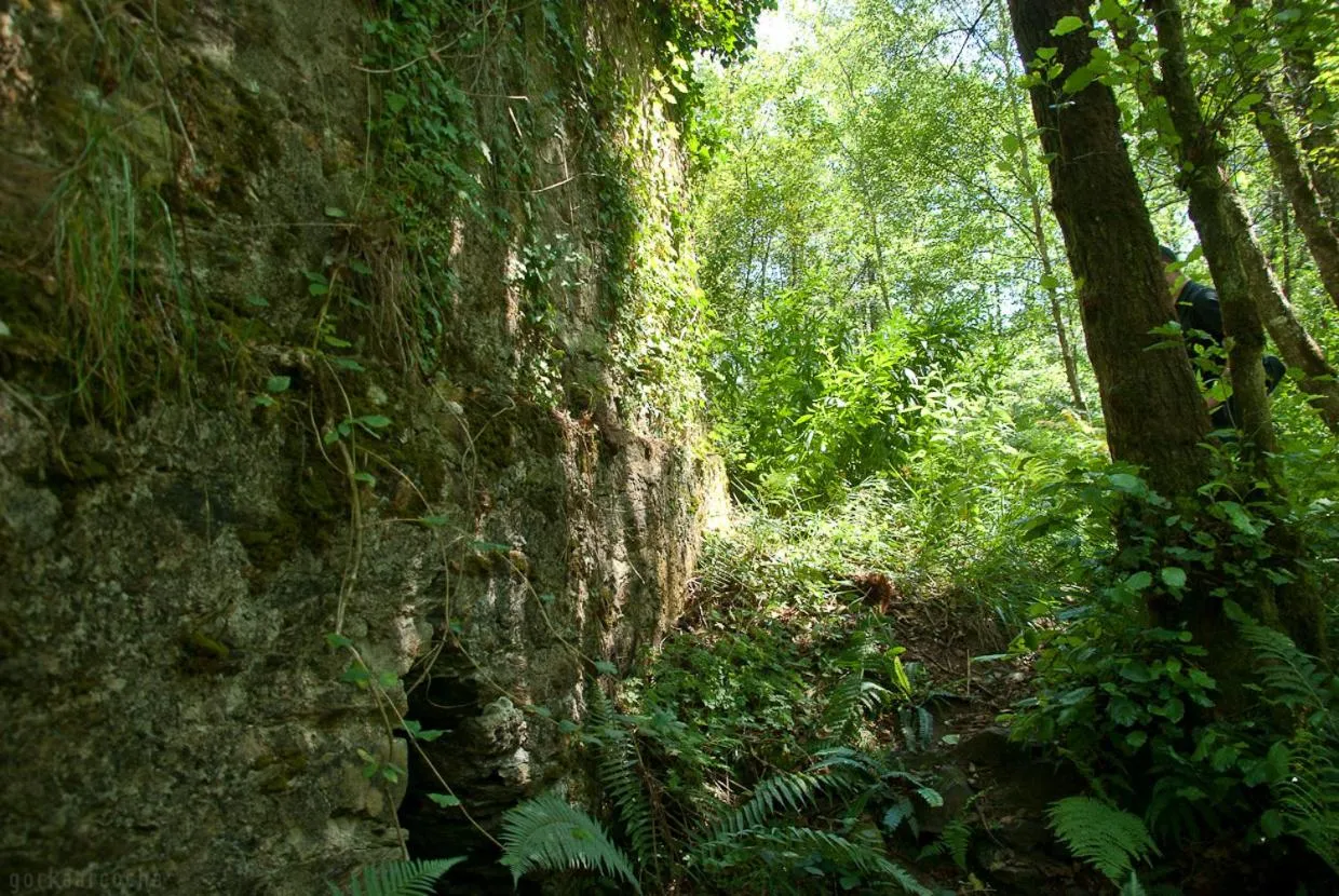 Area and facilities in O Muiño de Pena