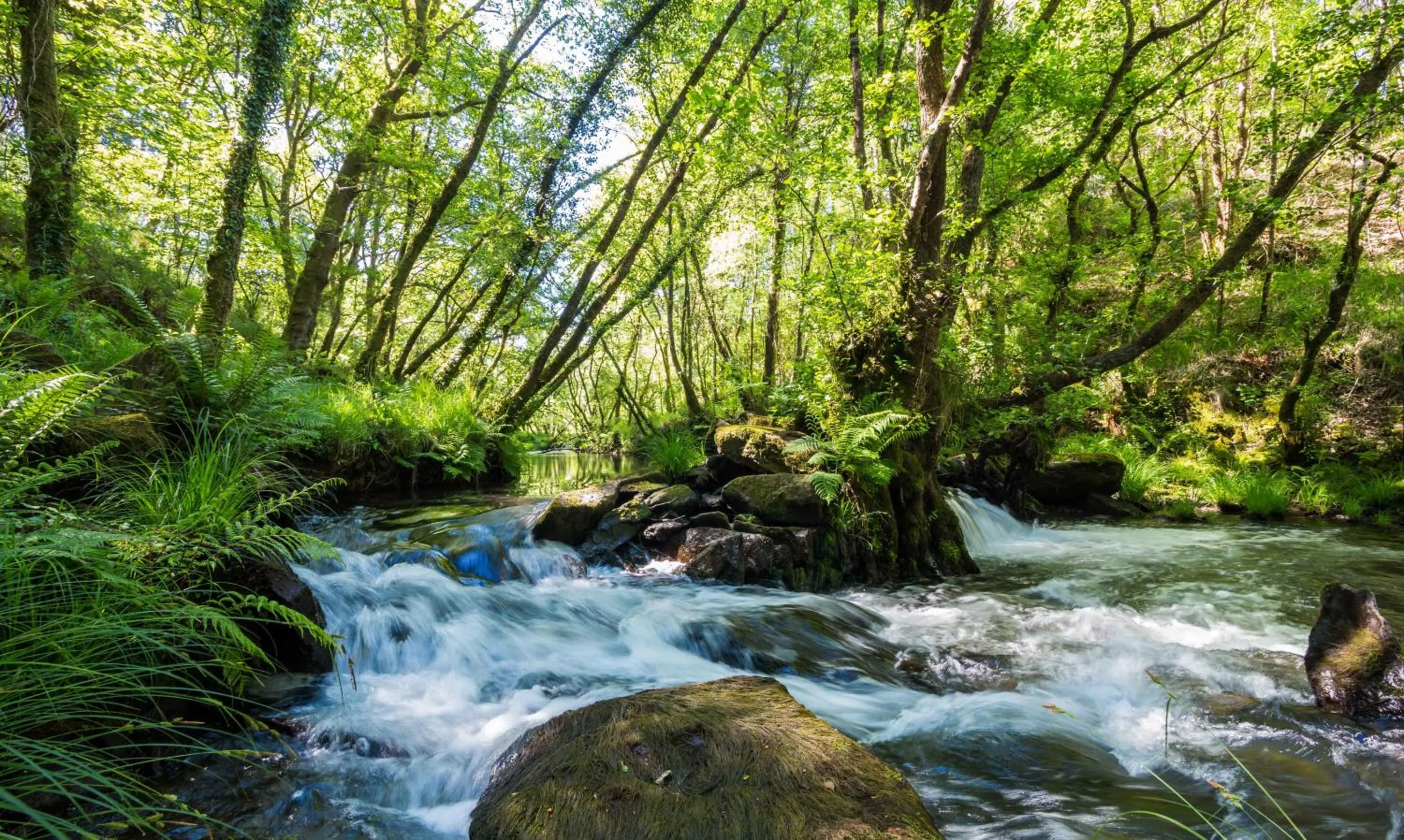 Activities in O Muiño de Pena