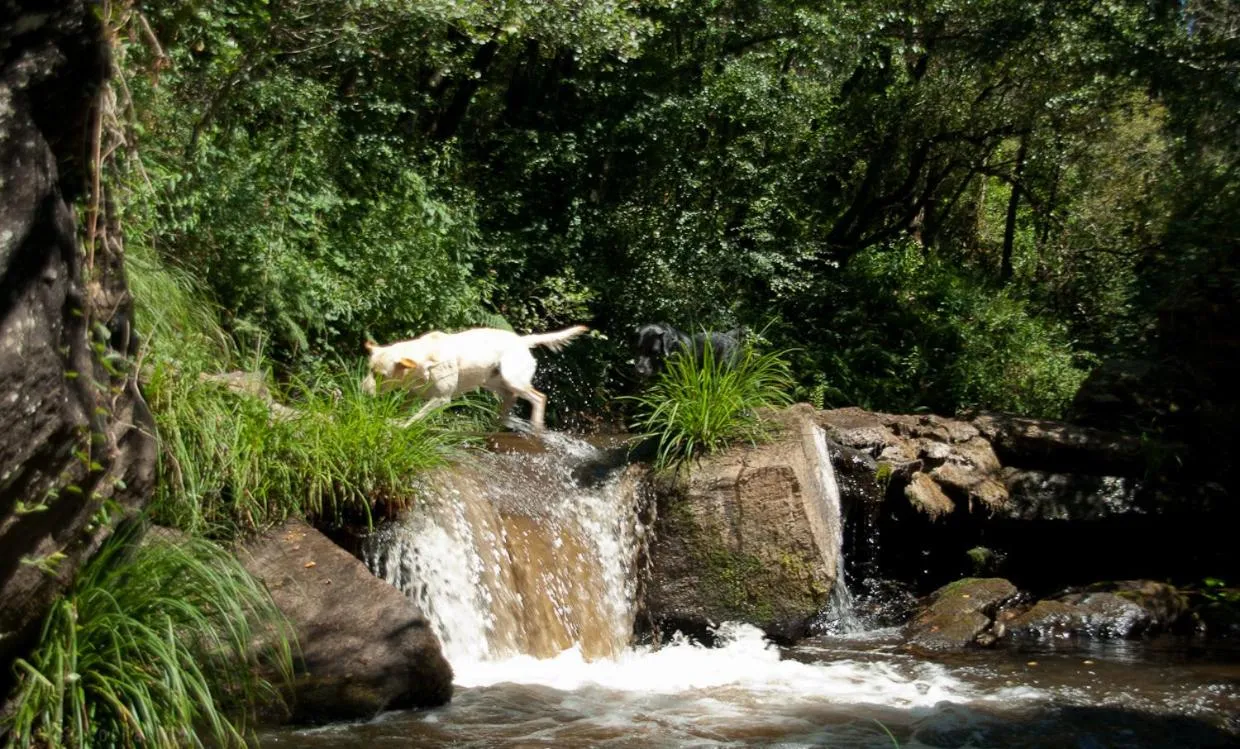Area and facilities in O Muiño de Pena