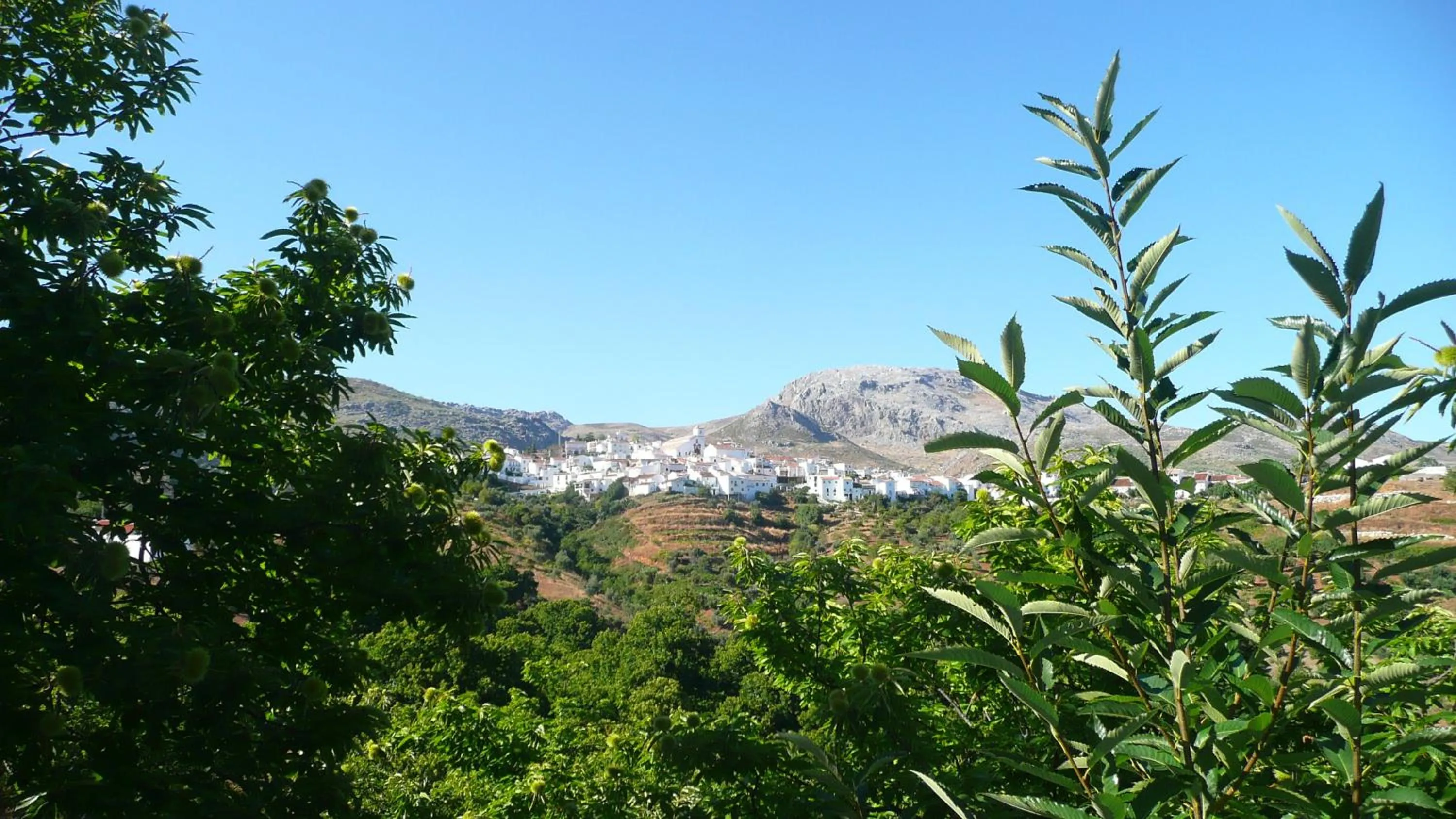 View (from property/room) in Hotel Los Castaños