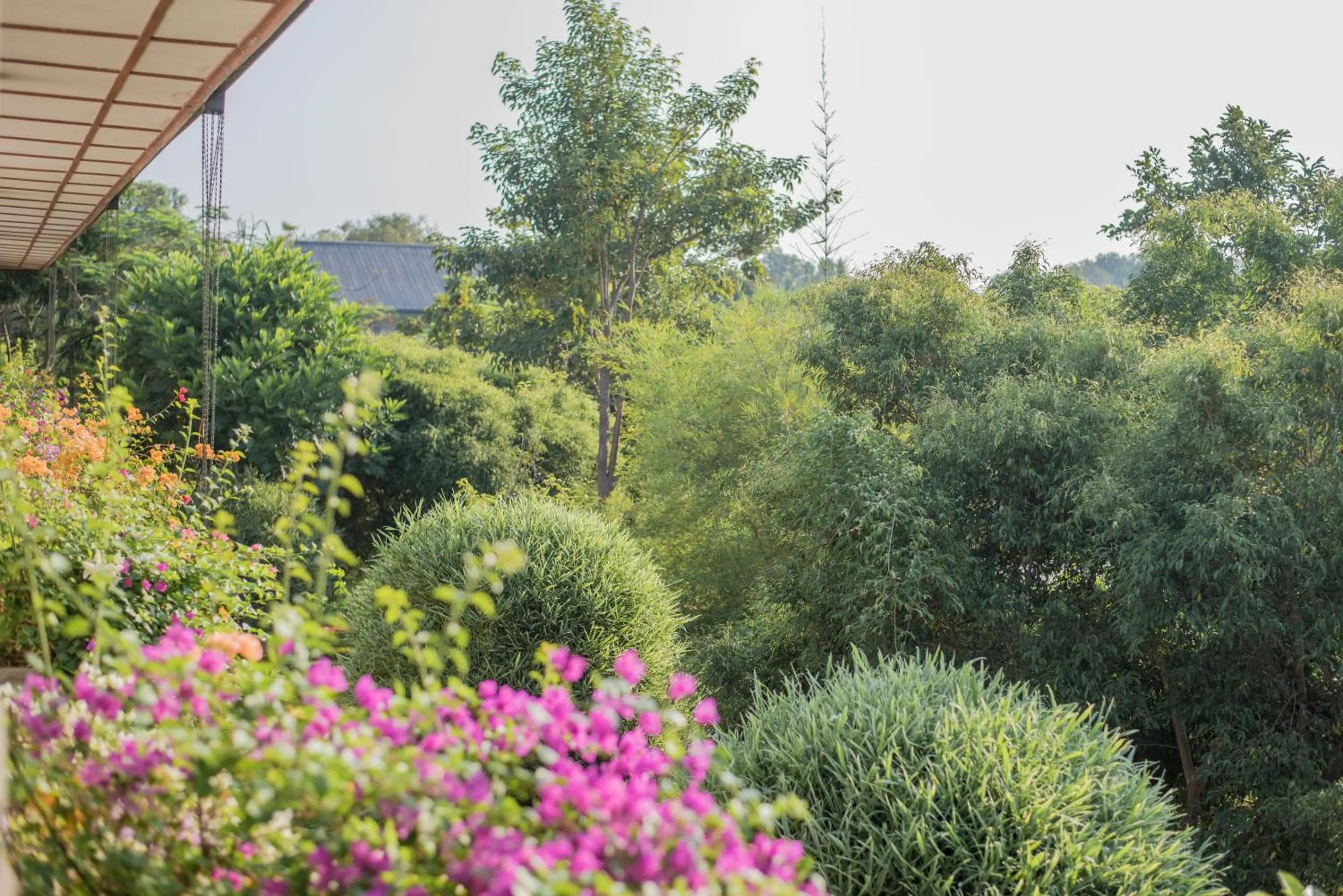 Garden view in Sungreen Resort Habarana