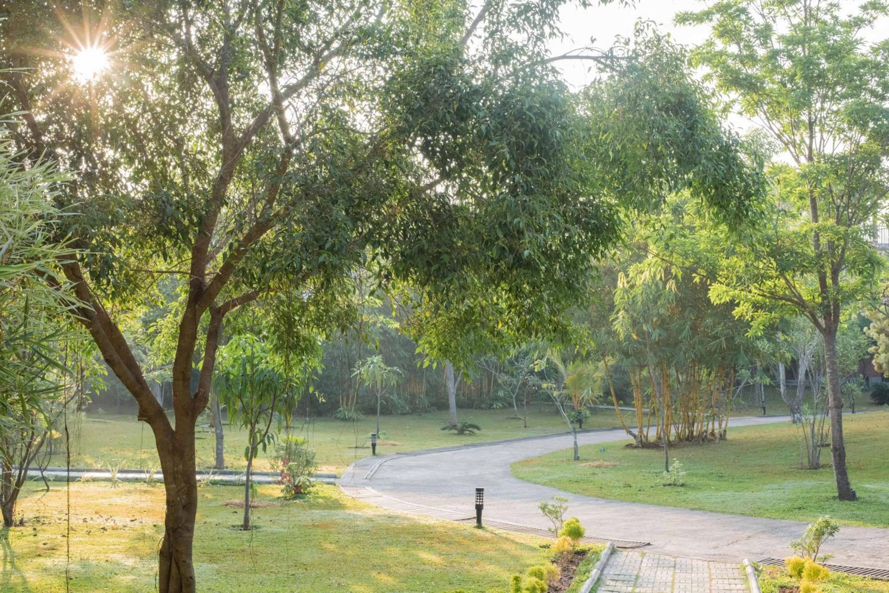 Garden in Sungreen Resort Habarana