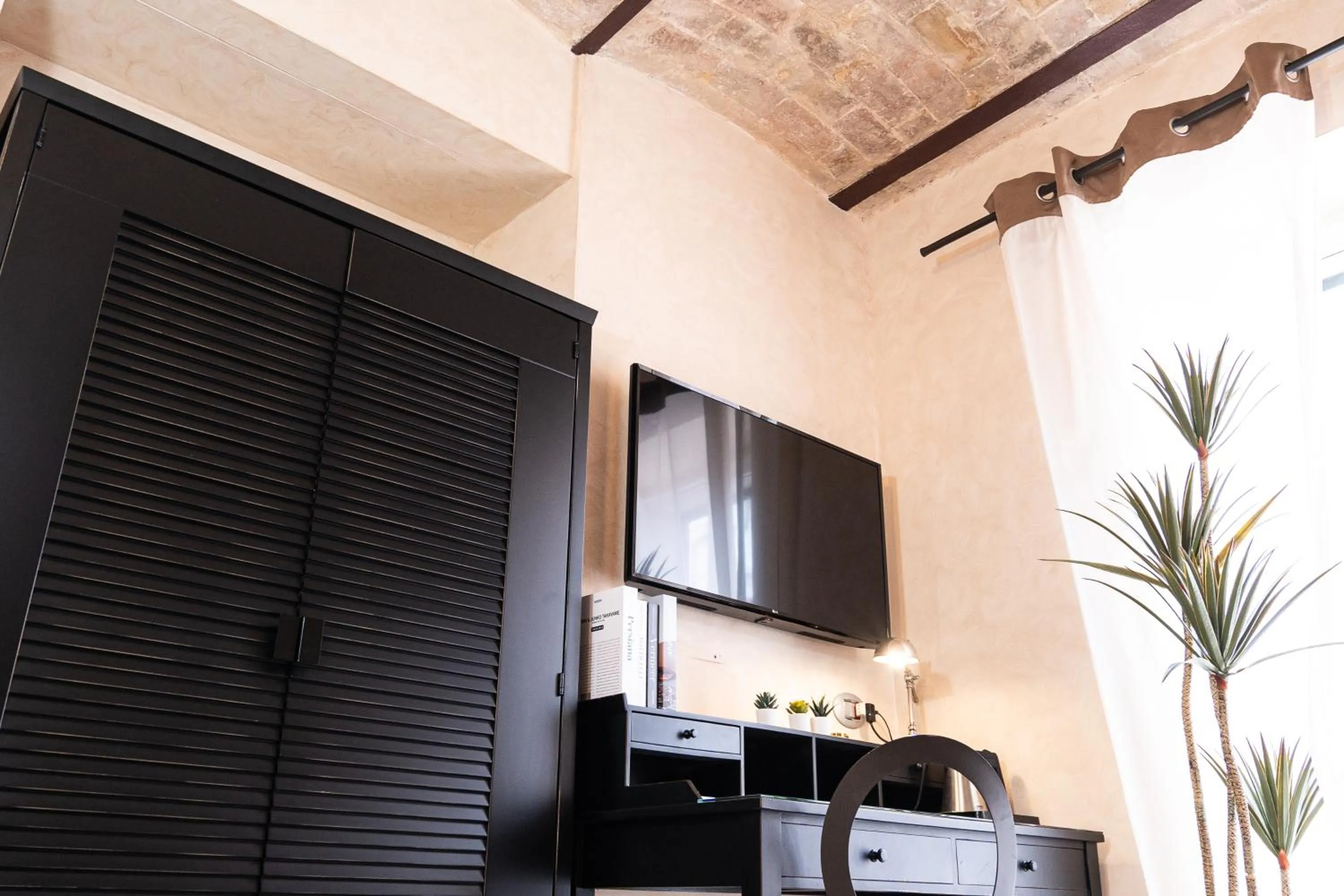 TV and multimedia in La Lisca