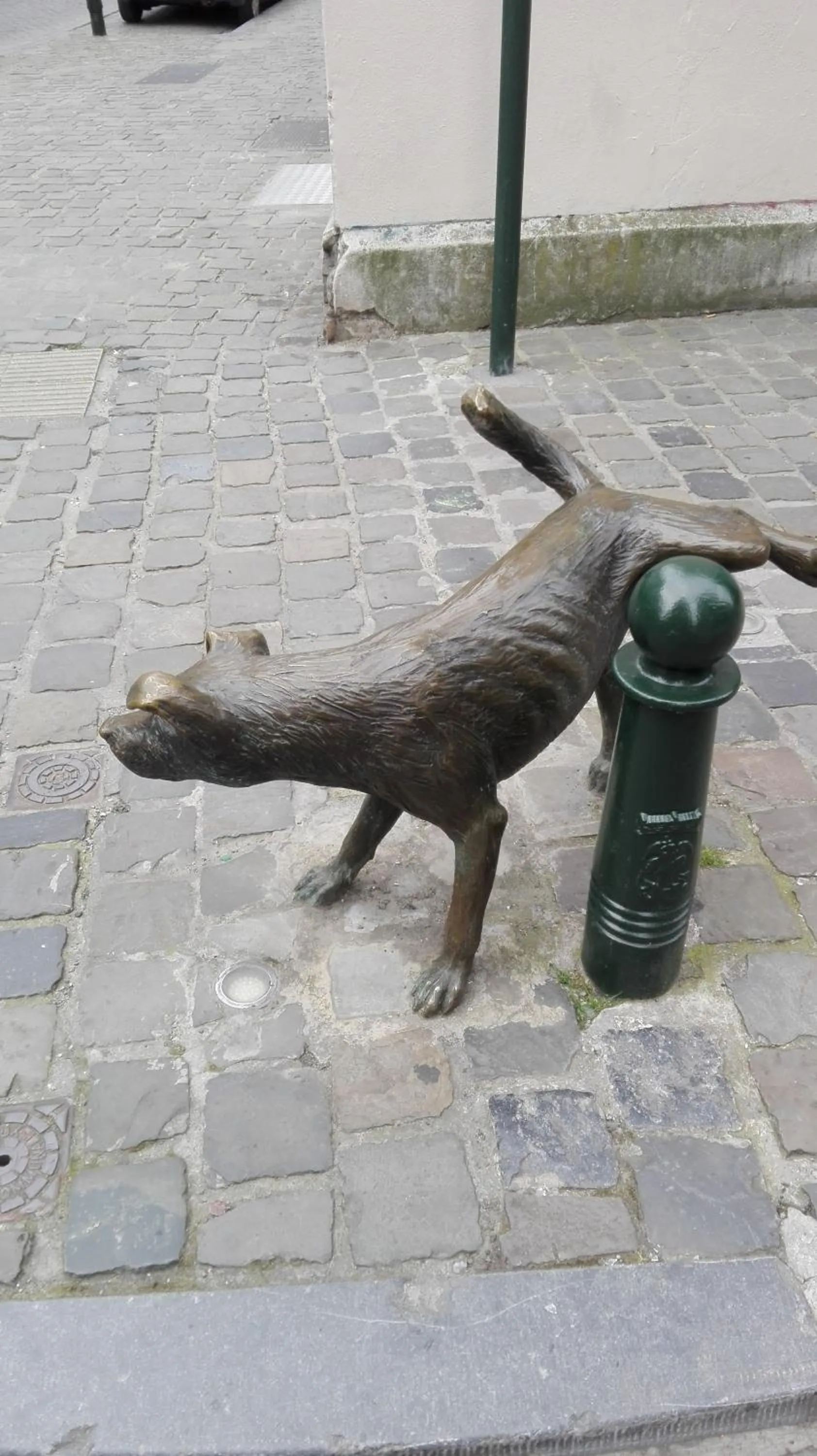 Neighbourhood in Villa 36 B&B