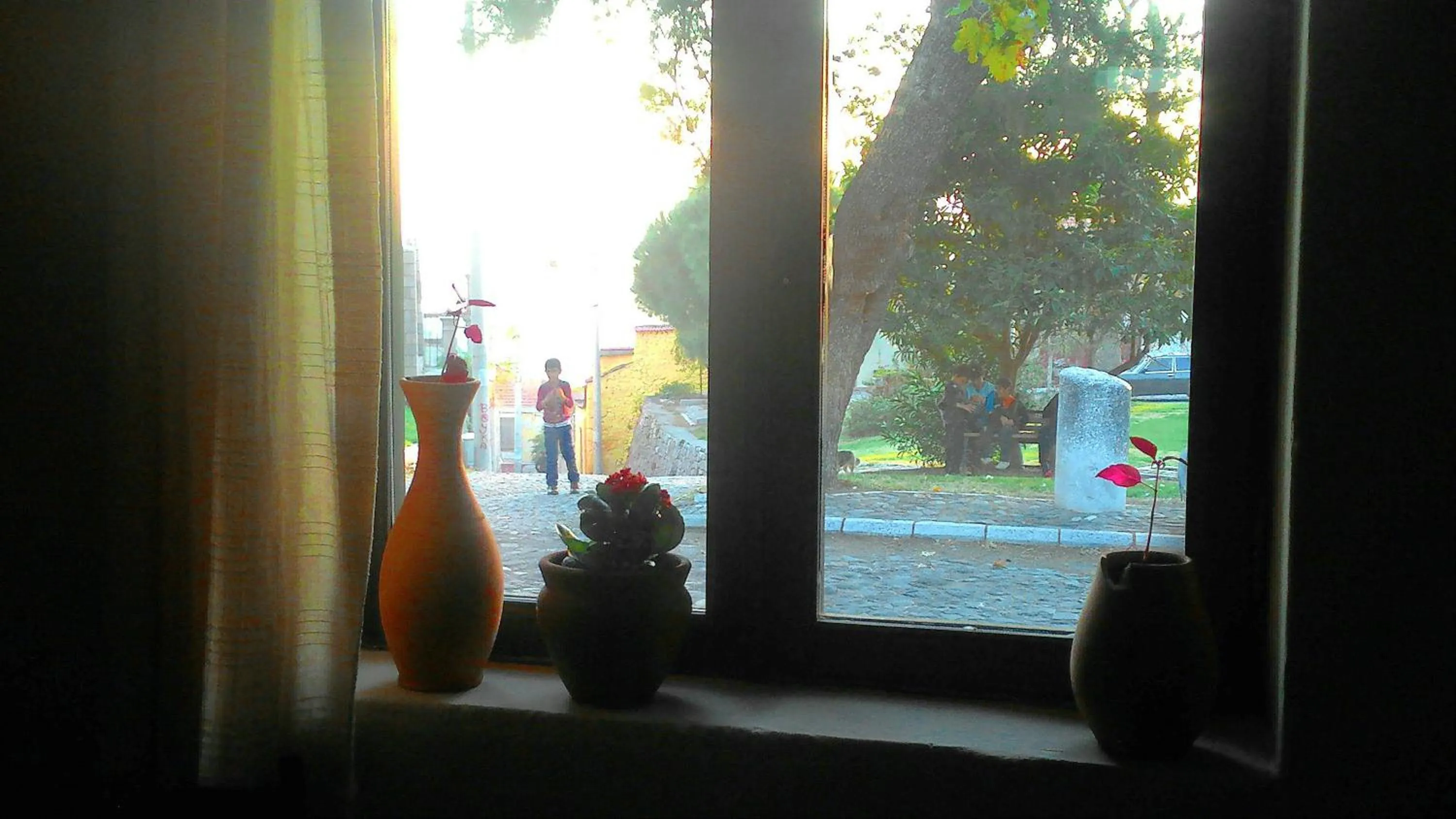 Garden view in Elaia Hotel