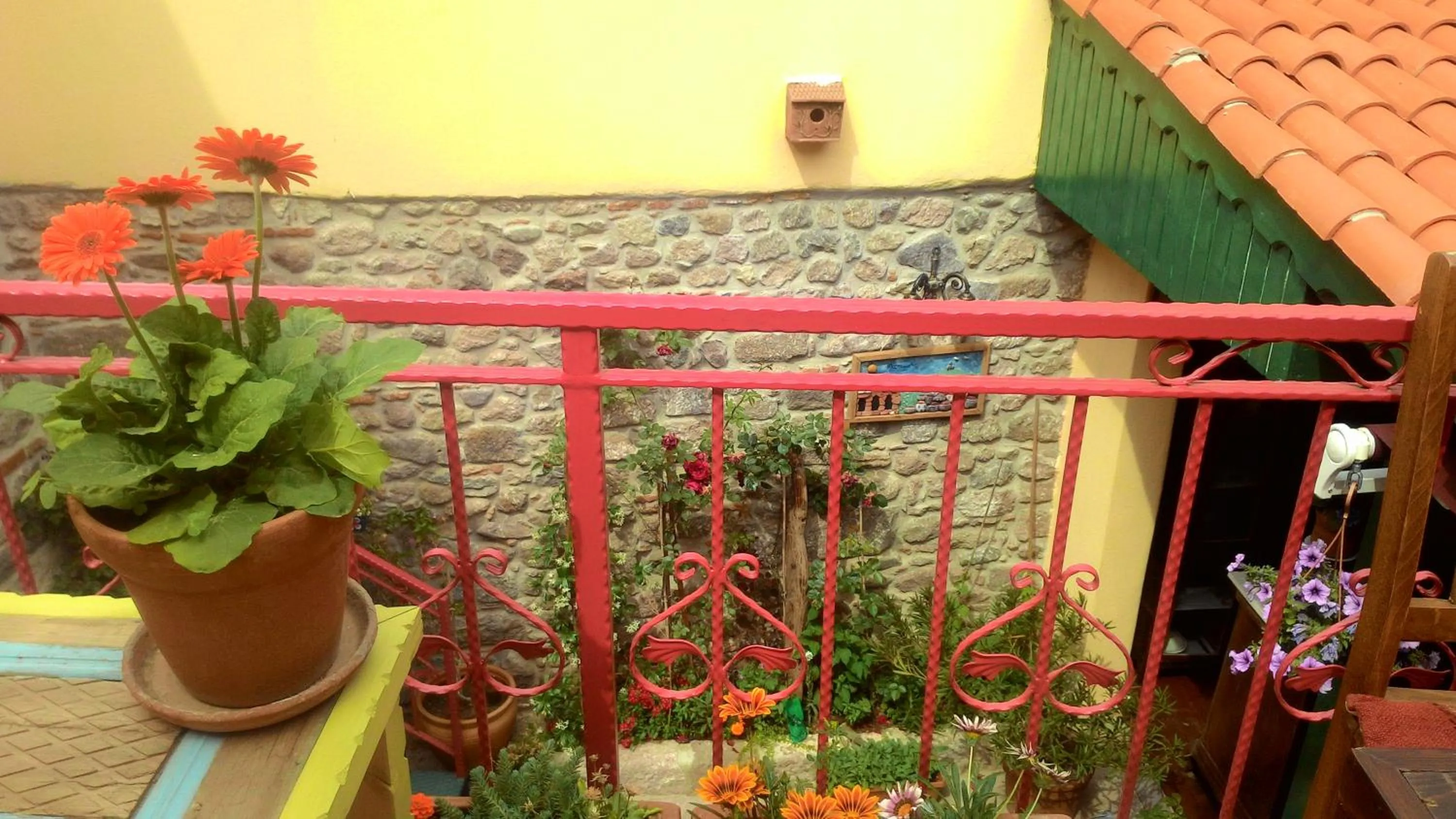 Garden in Elaia Hotel