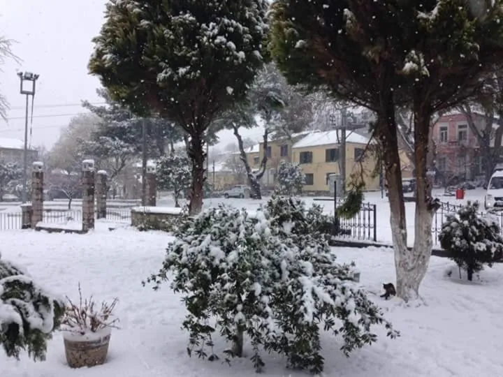 Natural landscape in Elaia Hotel