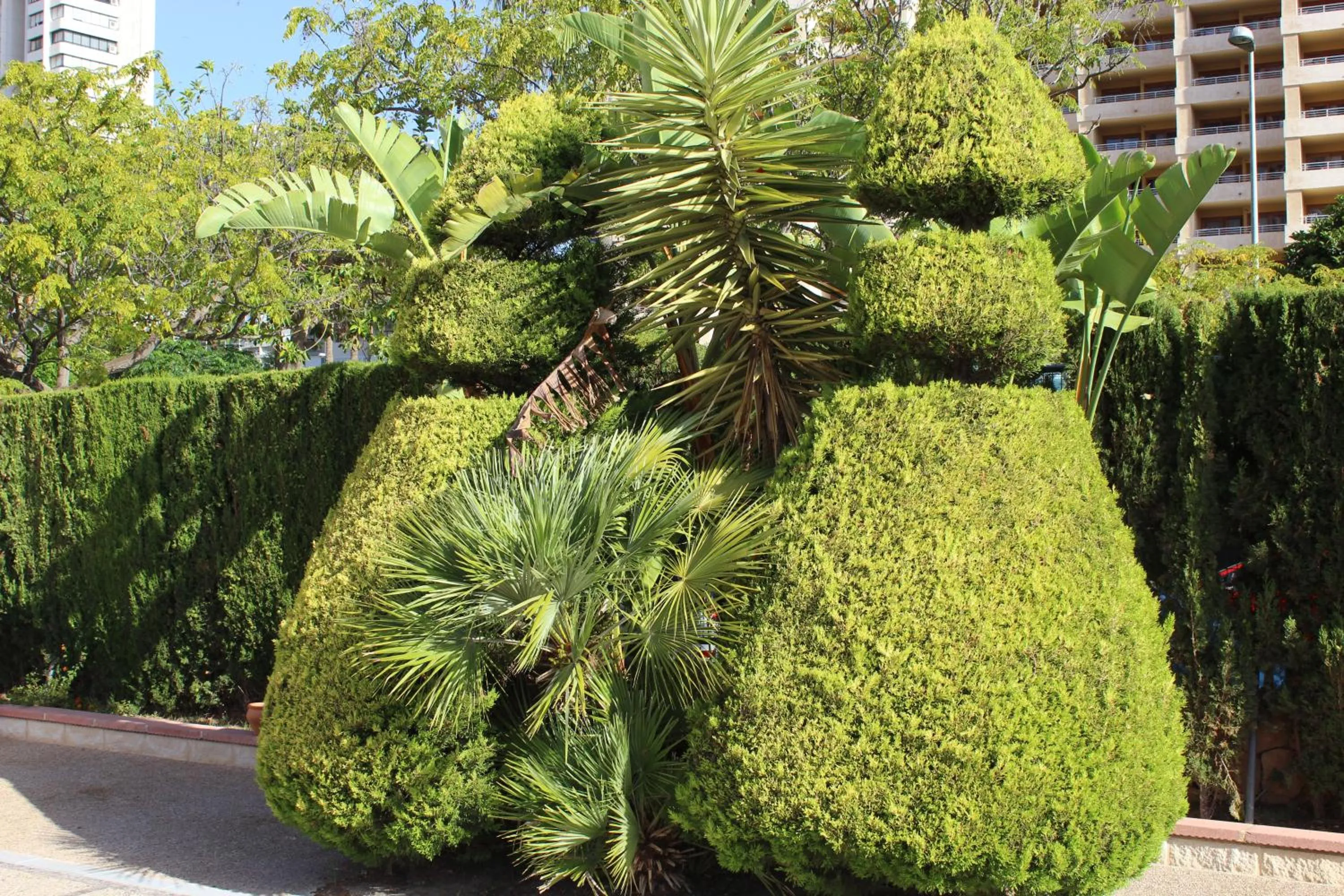 Garden in Apartamentos Vistamar